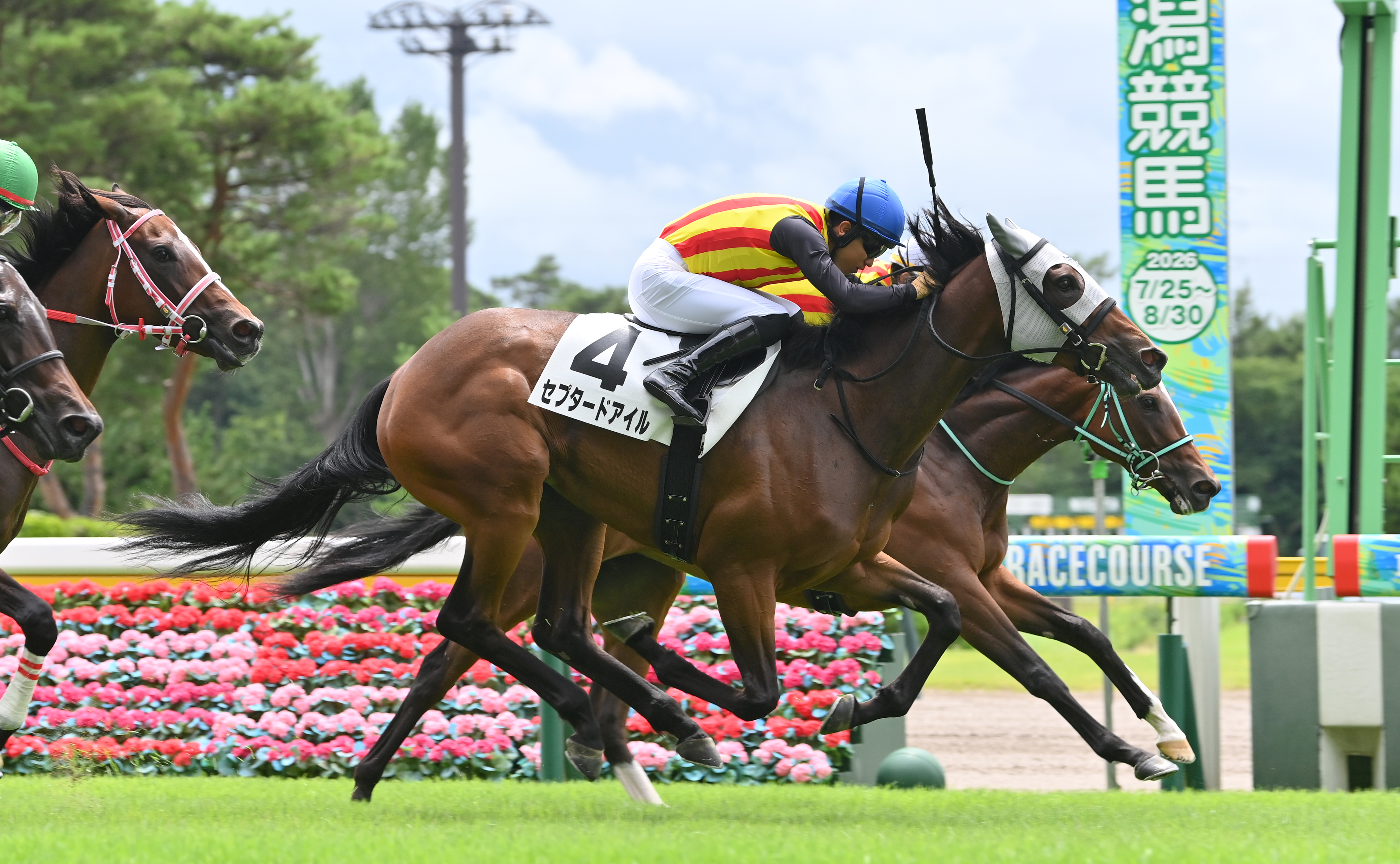 2歳新馬・新潟3R】伏兵セプタードアイルが同じオーナーの1番人気馬を