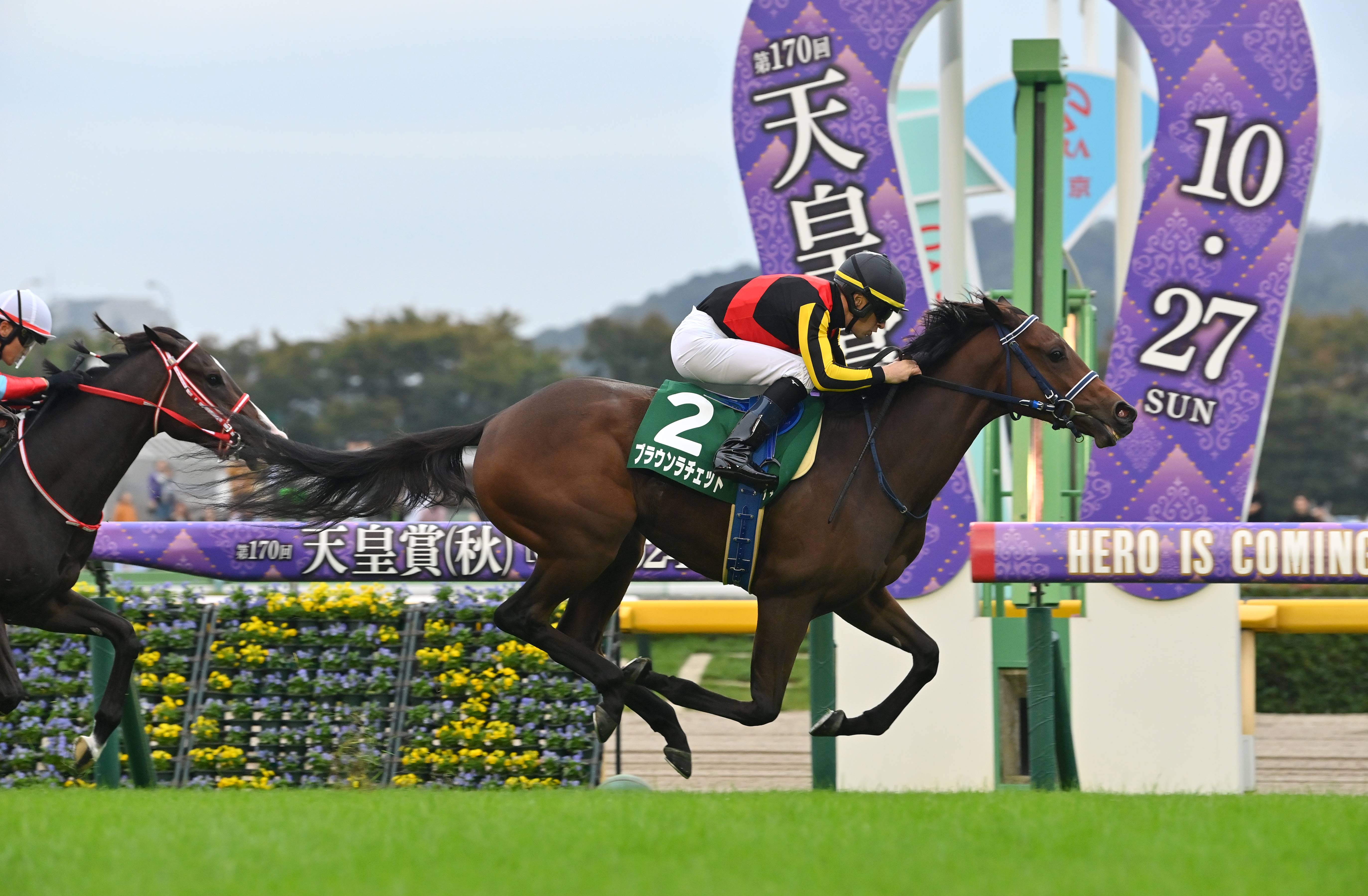 【中古】 井崎脩五郎の競馬探偵/コーエーテクモゲームス/井崎脩五郎 読む競馬 (双葉文庫 い 6-6) | 井崎 脩五郎 |本 | 通販 | Amazon