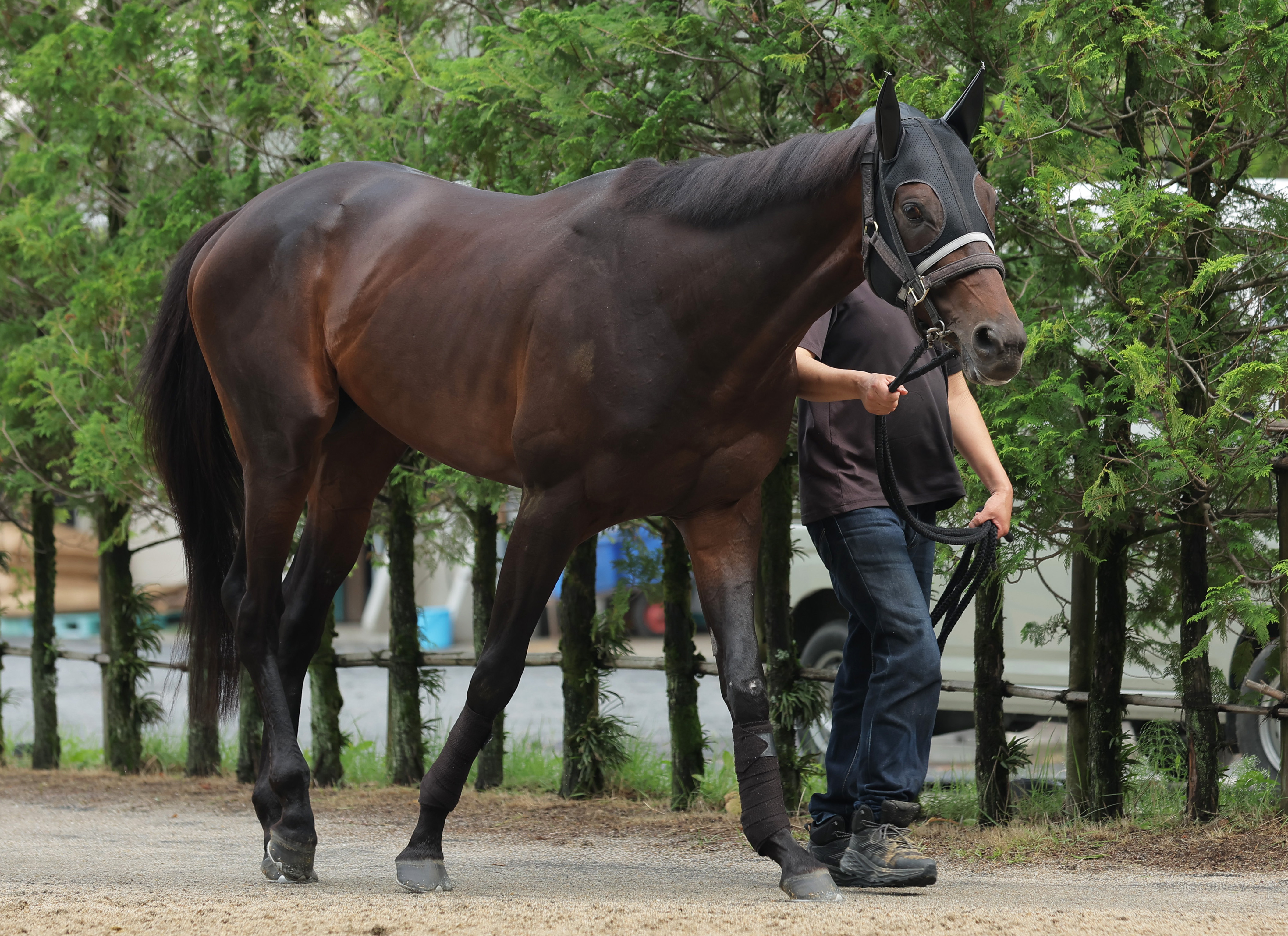宝塚記念優勝馬ピンバッジセット 宝塚記念優勝馬ピンバッジセット 宝塚記念(GI)優勝馬ピンバッジ