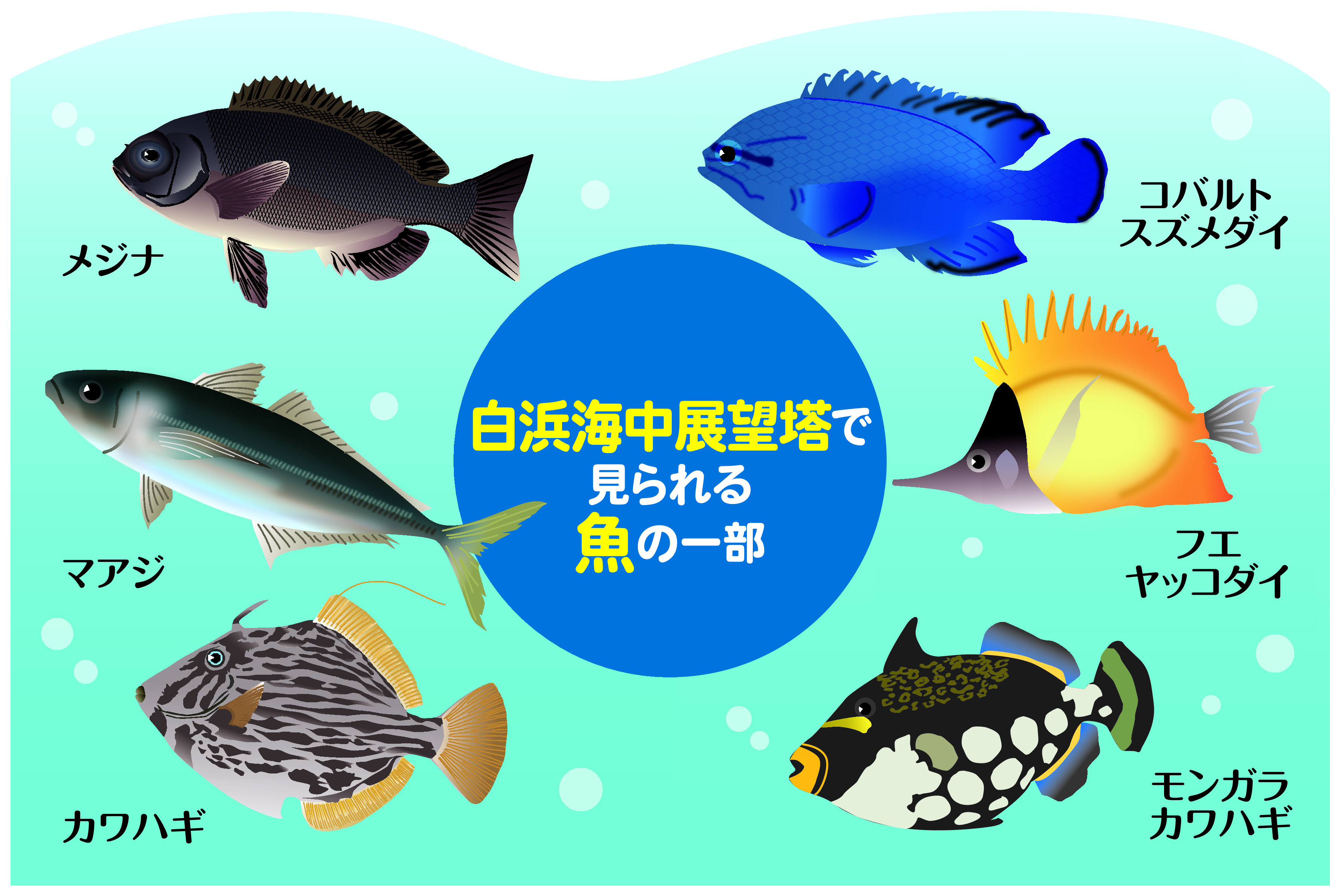 関西の塔】窓からカラフル熱帯魚観賞 「白浜海中展望塔」は2代目