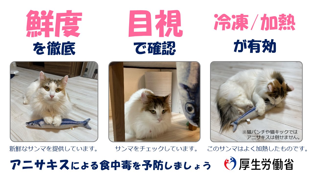 厚労省、猫の写真使ったアニサキスへの注意呼びかけるツイートが話題 