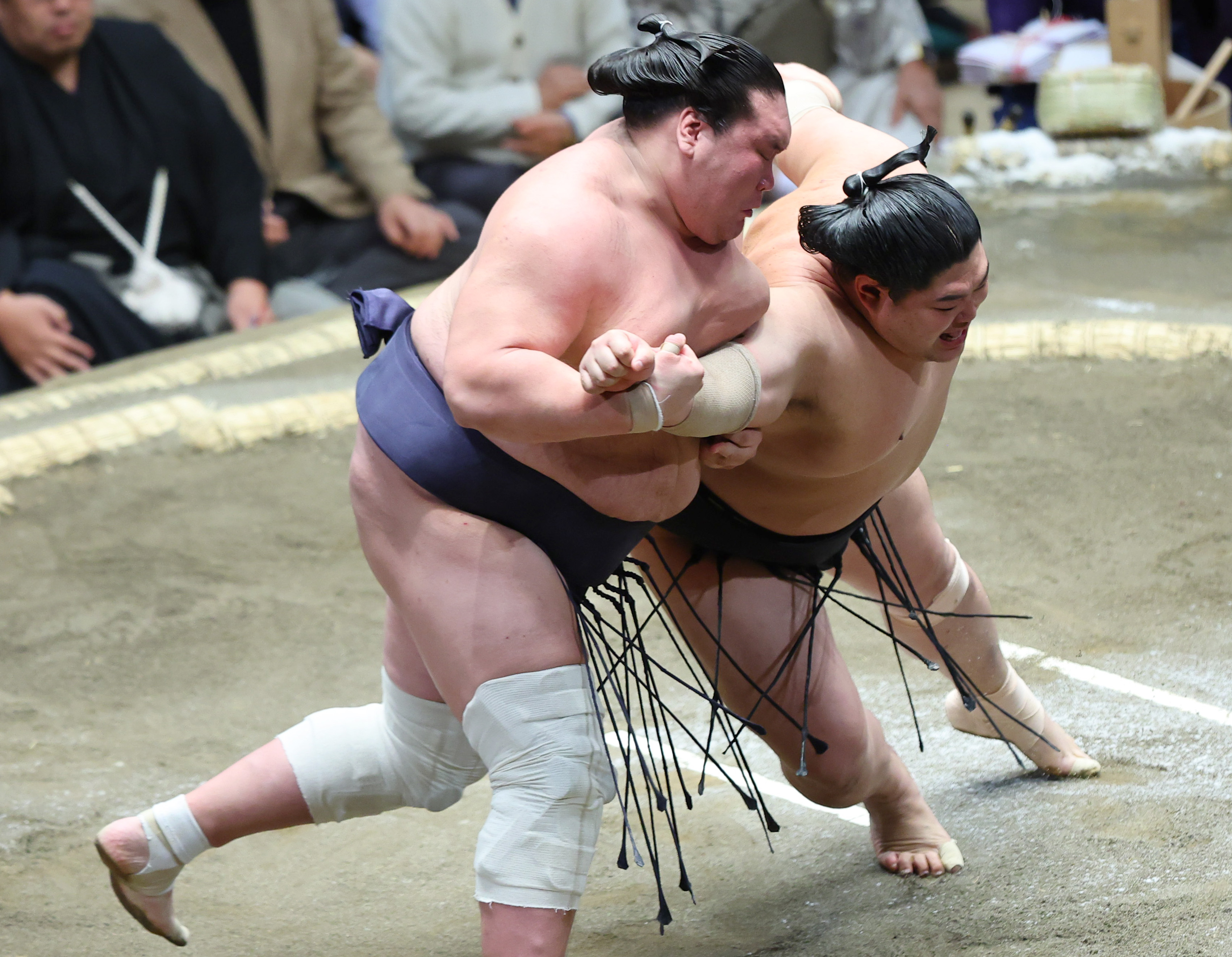 ☆ 24時間以内発送 ☆ 若隆景 令和六年 春場所 番付表 大相撲 相撲 ①