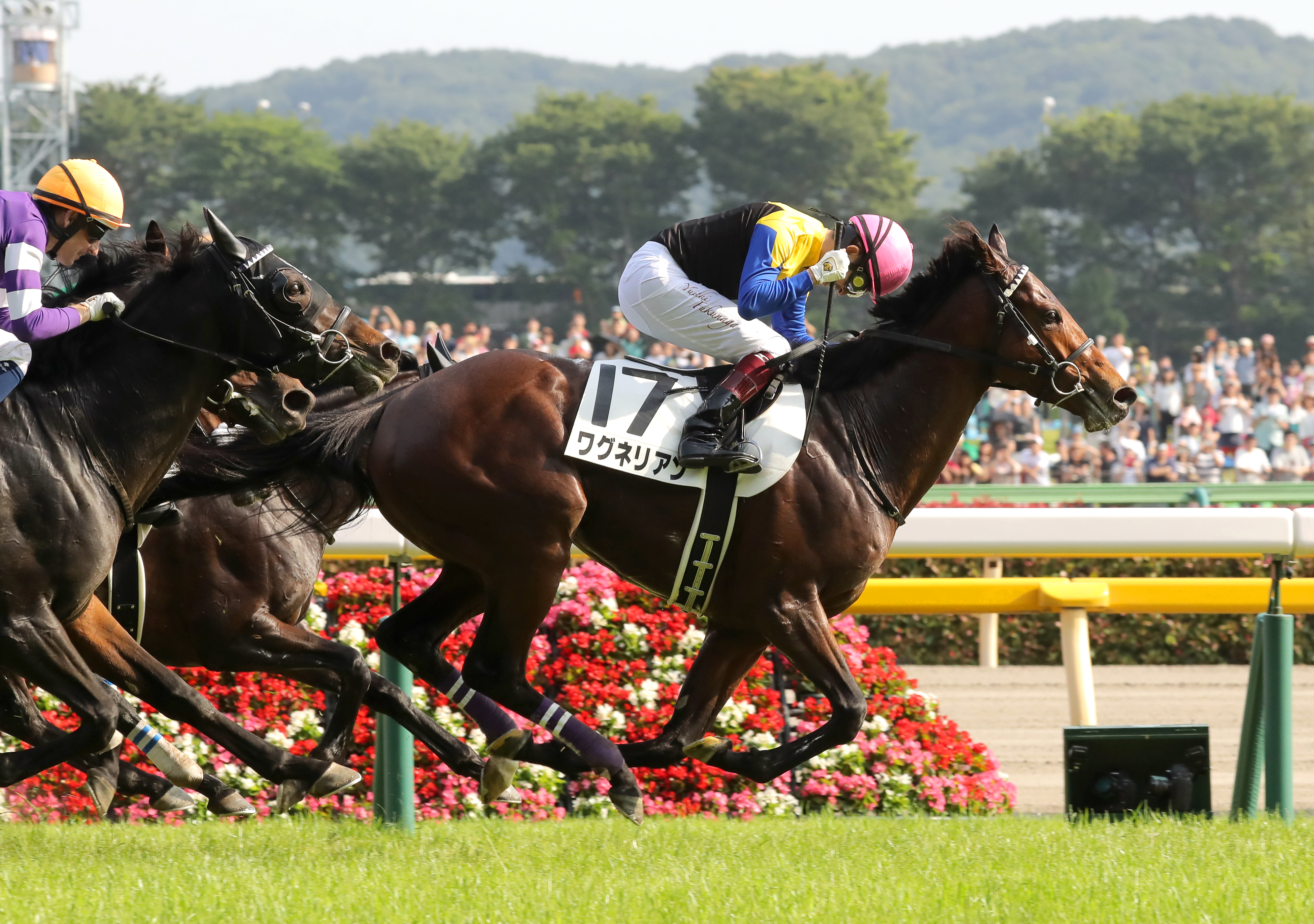 ワグネリアンで涙のダービー初制覇／2018年【福永祐一騎手 ファン