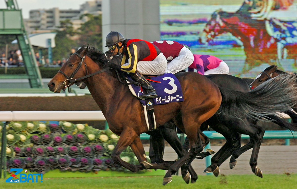 【競馬】ドリームジャーニー（2009年産経大阪杯）額入りミニゼッケン／優勝レイ 未来に語り継ぎたい名馬 JRAレーシングビュアー
