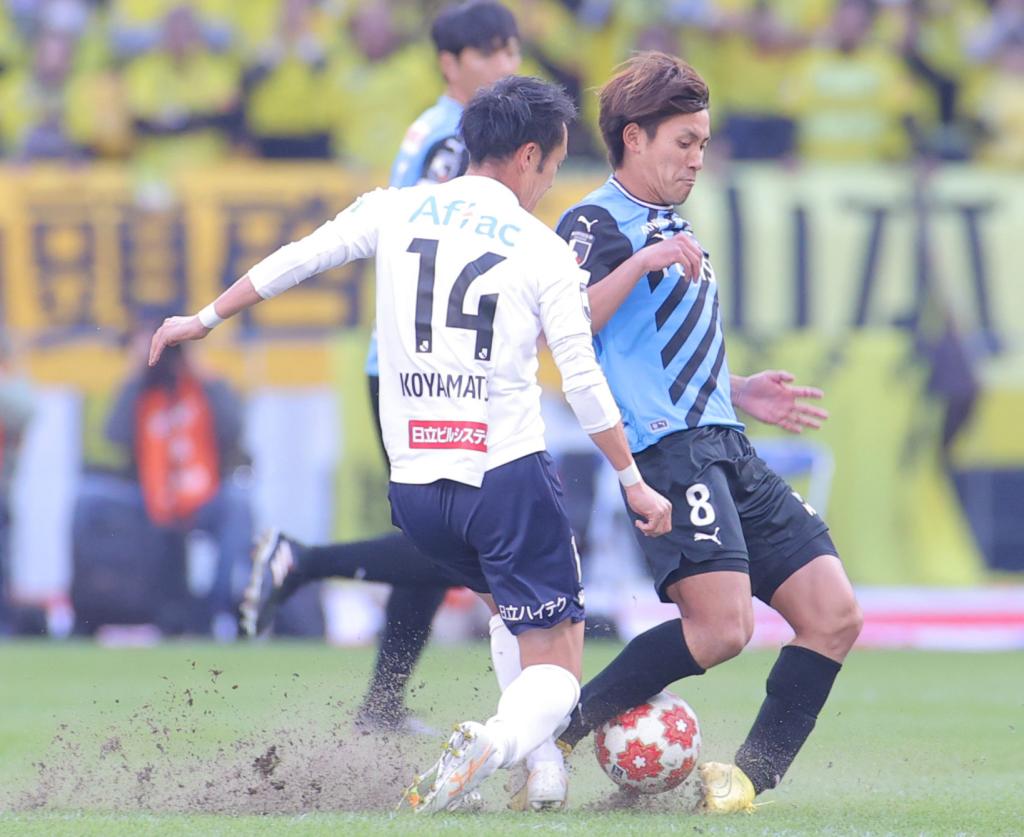 国立競技場  芝生 2024.6.23 国立競技場スタジアムツアー 芝生がとっても綺麗だっ