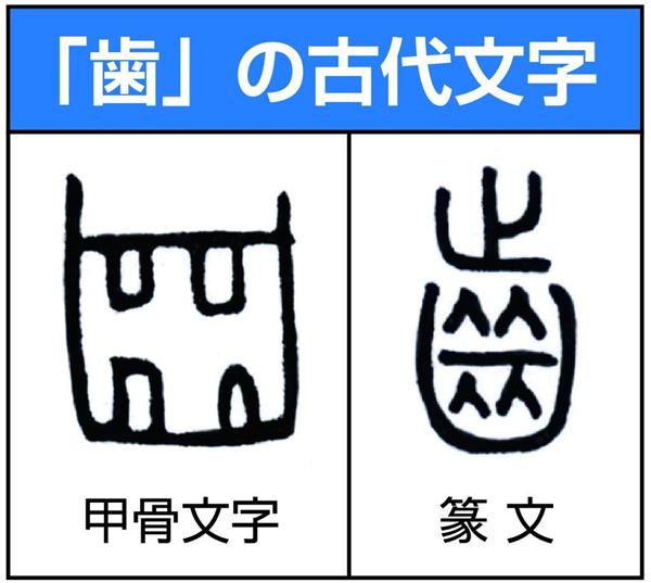 続教育漢字考 ２２ 歯がかみあわない 齟齬 1 2ページ 産経ニュース