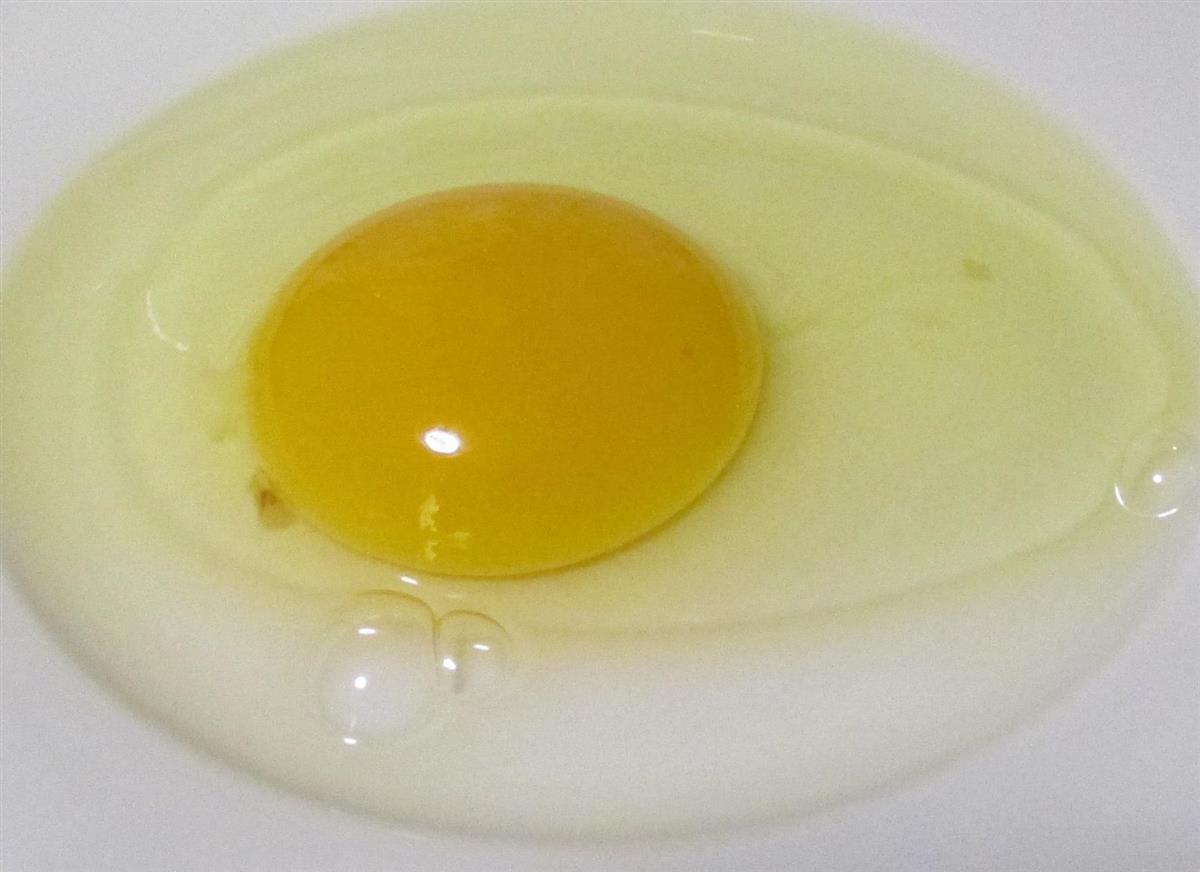 絶品の卵を生む「うどん鶏」は鰹と昆布のダシガラで育つ（1/2ページ