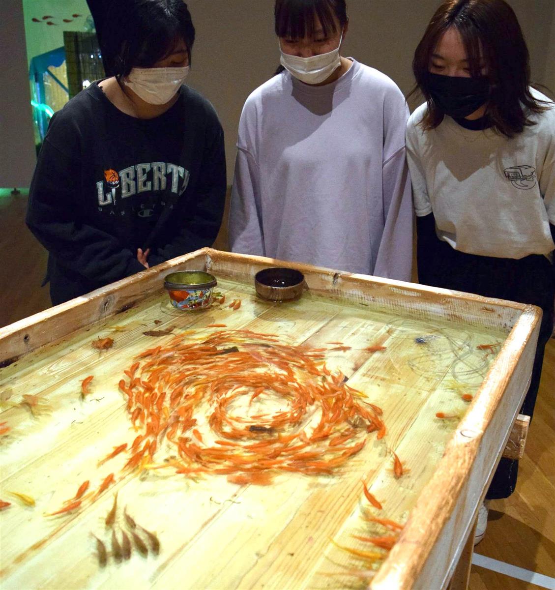 岩手めんこいテレビ開局30周年記念の深堀隆介展が開幕 - 産経ニュース