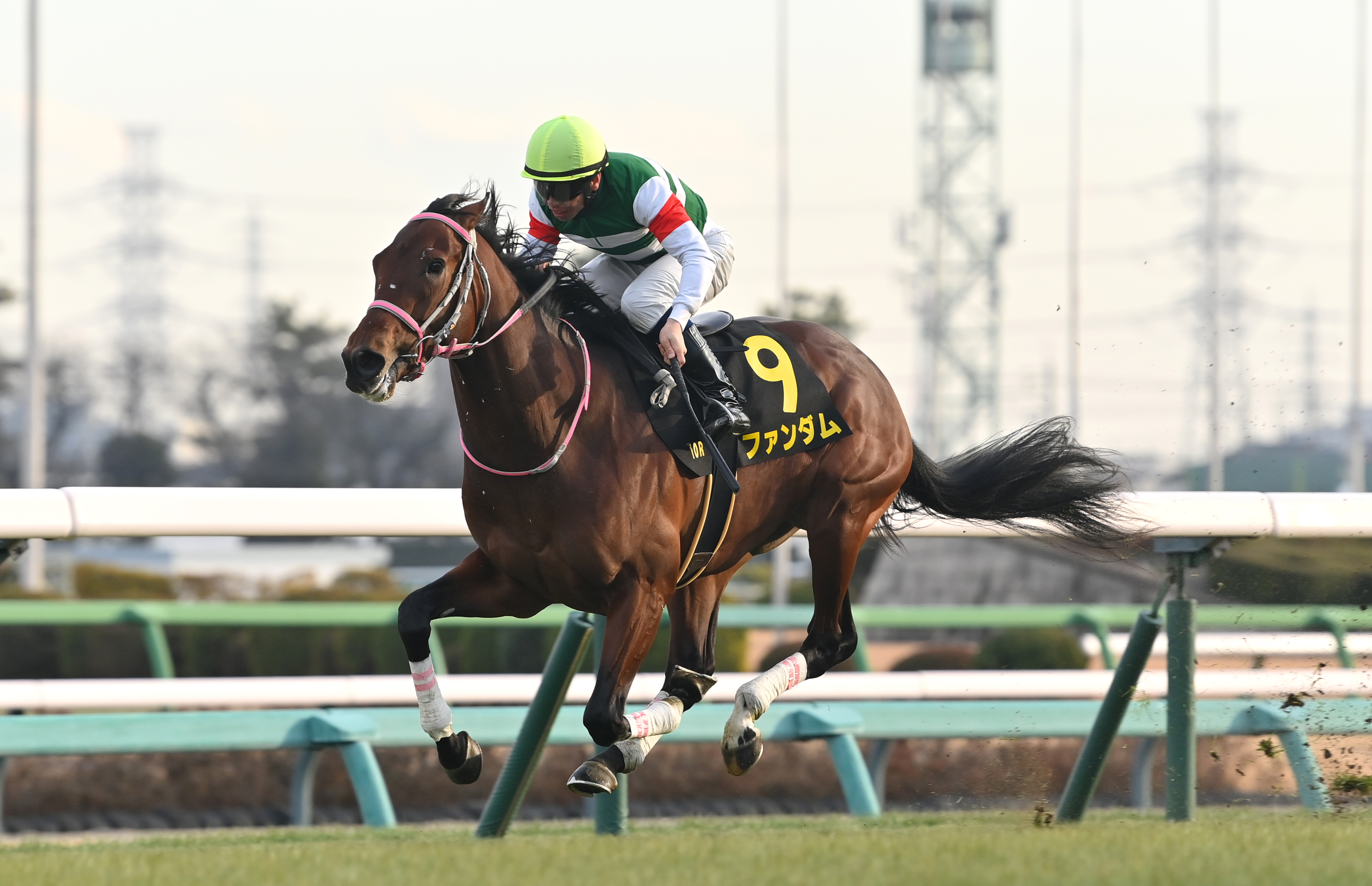 ジュニアC】ファンダムが好位から楽々抜け出しデビュー2連勝