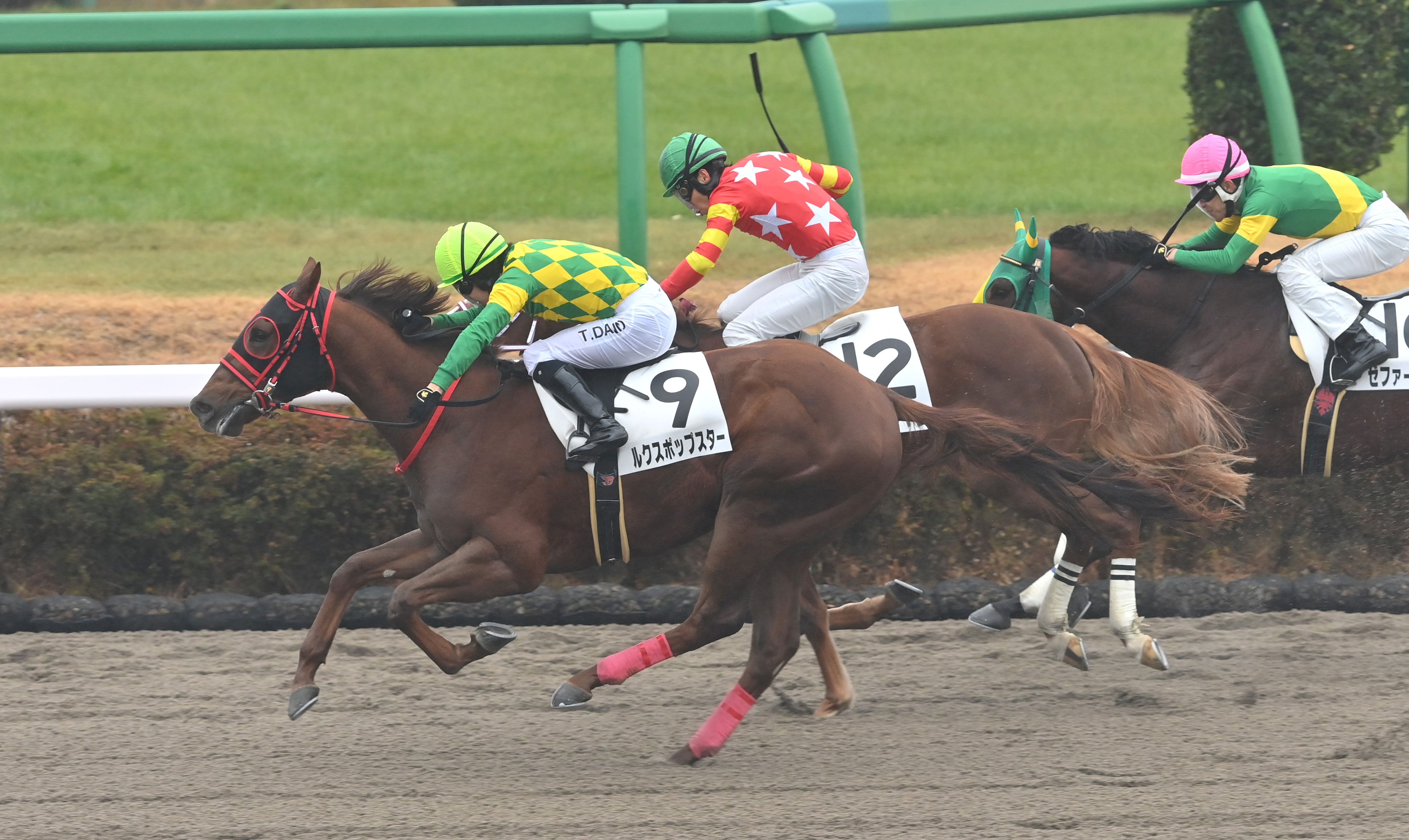 2歳新馬・中山6R】鋭く伸びたルクスポップスターが差し切る 団野大成