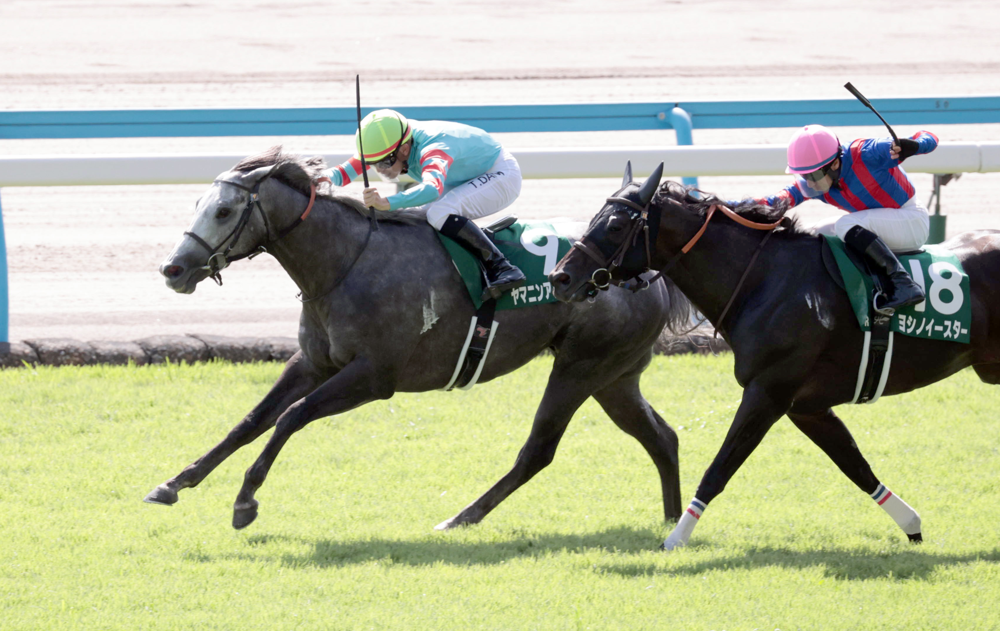❤️８万円分❤️関西＆関東❤️競馬・四季報★春夏秋冬★大量セット❤️データ集 c87fd8ec91327b221bacafd3f9fcc8