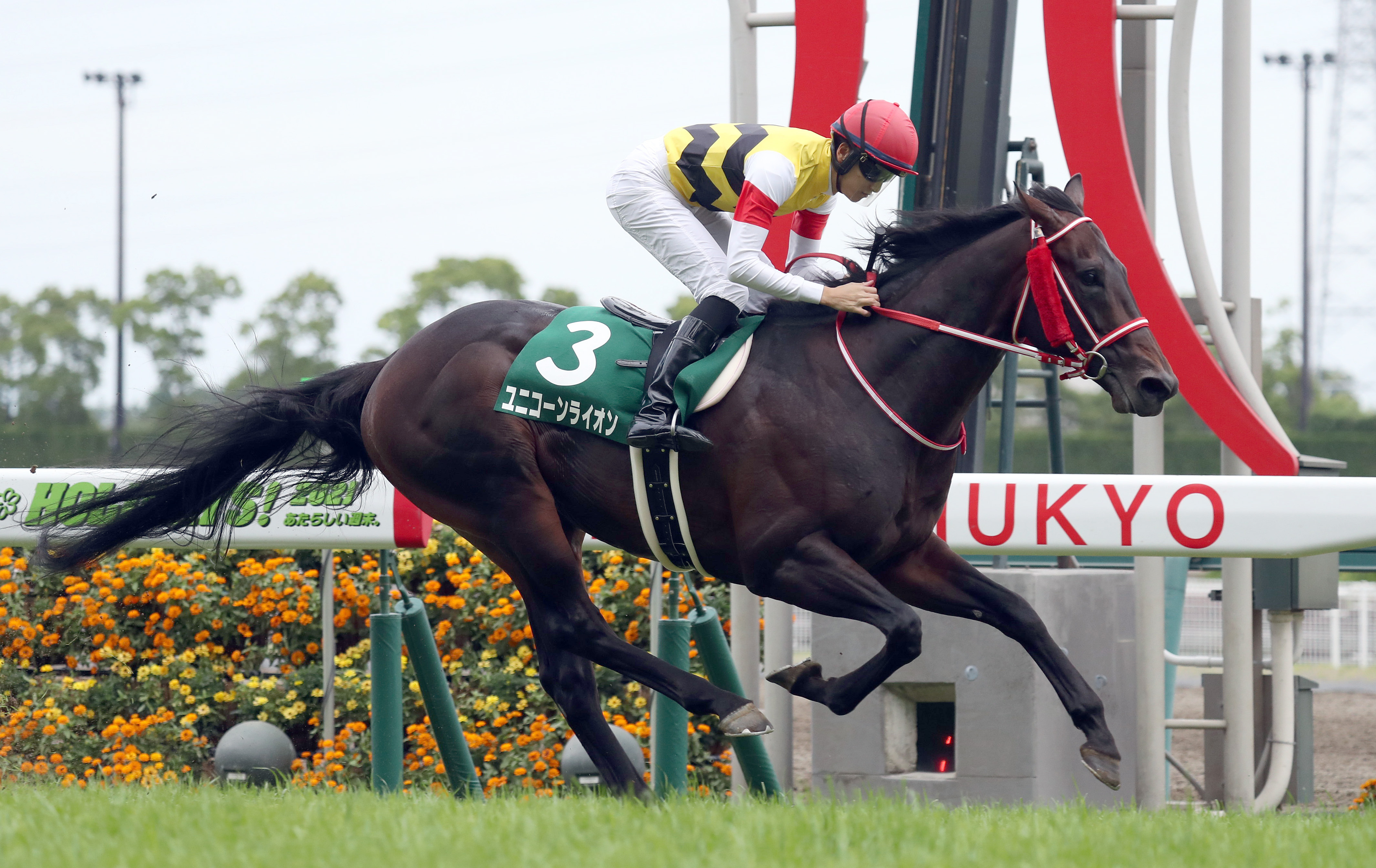 京都大賞典予想 競馬エイト 西野大助記者は宝塚記念2着の実績を信用 サンスポzbat 京都大賞典予想 競馬エイト 西野大助記者は宝塚記念2着の実績を信用 サンスポzbat