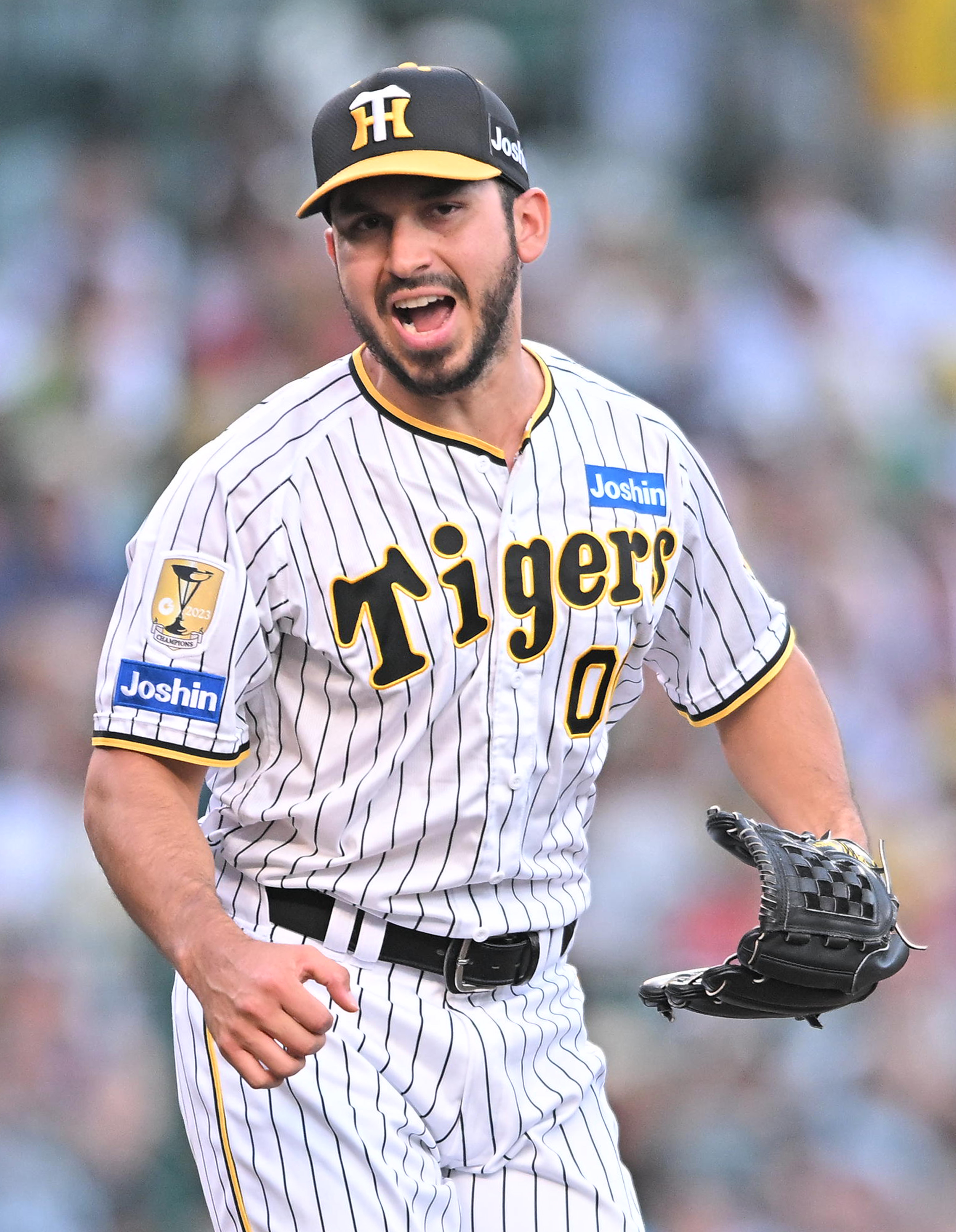 GIANTS 原監督サイン入ボール、キャッチャーグローブセット GIANTS 原監督サイン入ボール、キャッチャーグローブセット 【公式通販】