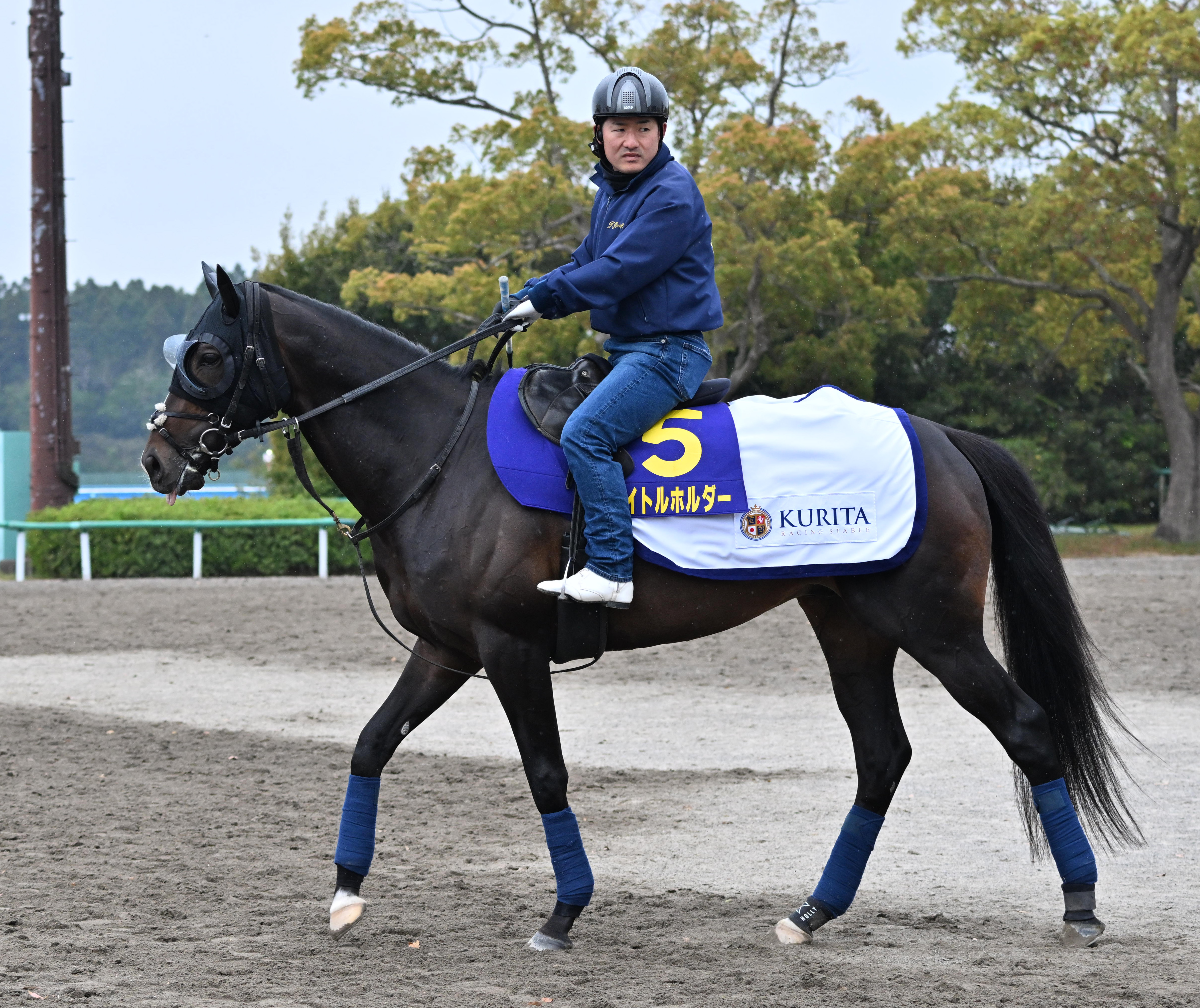 タイトルホルダー 天皇賞勝利記念ベスト | kamed.az