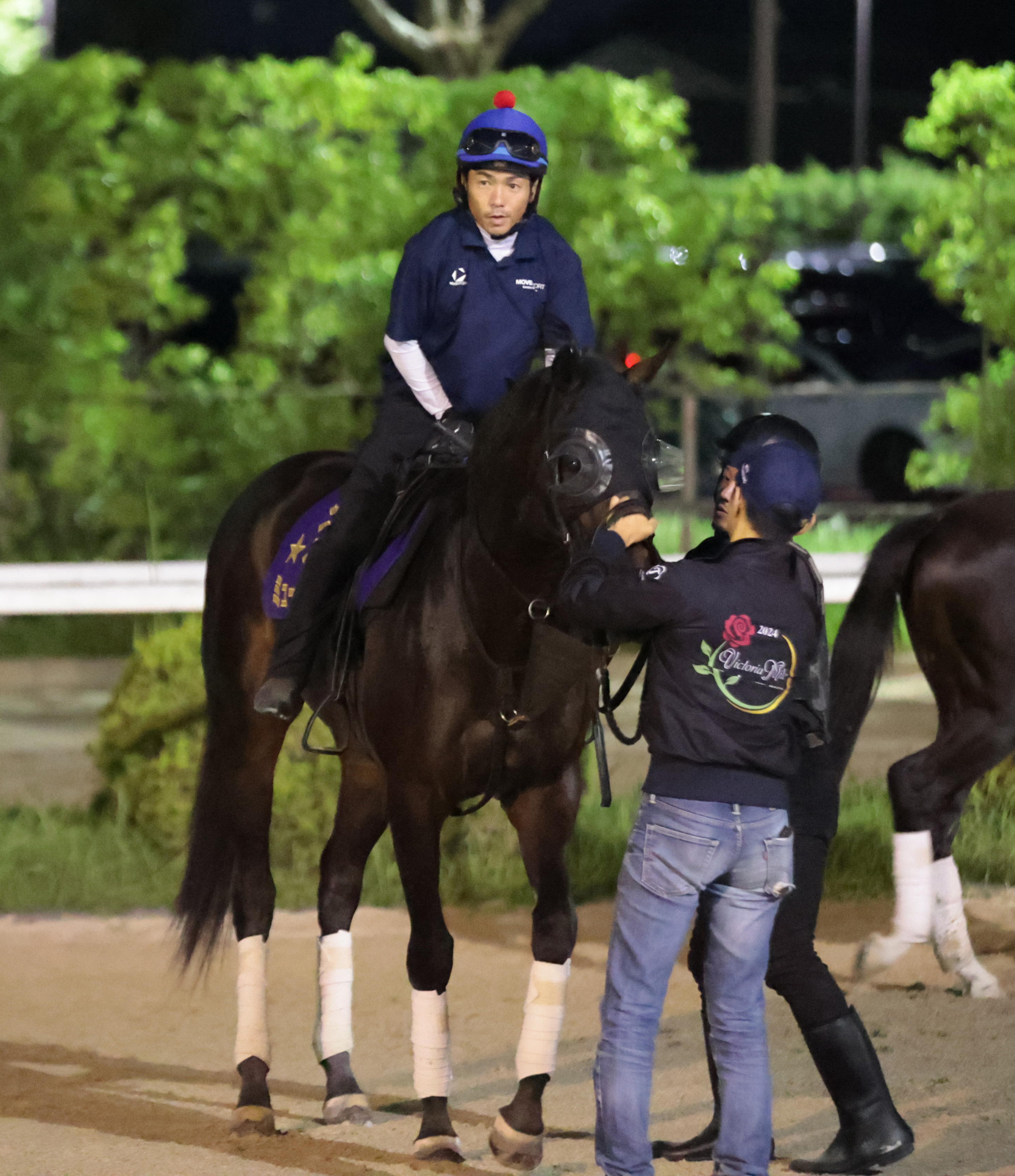 セントライト記念】皐月賞馬ミュージアムマイル盾取りへ始動