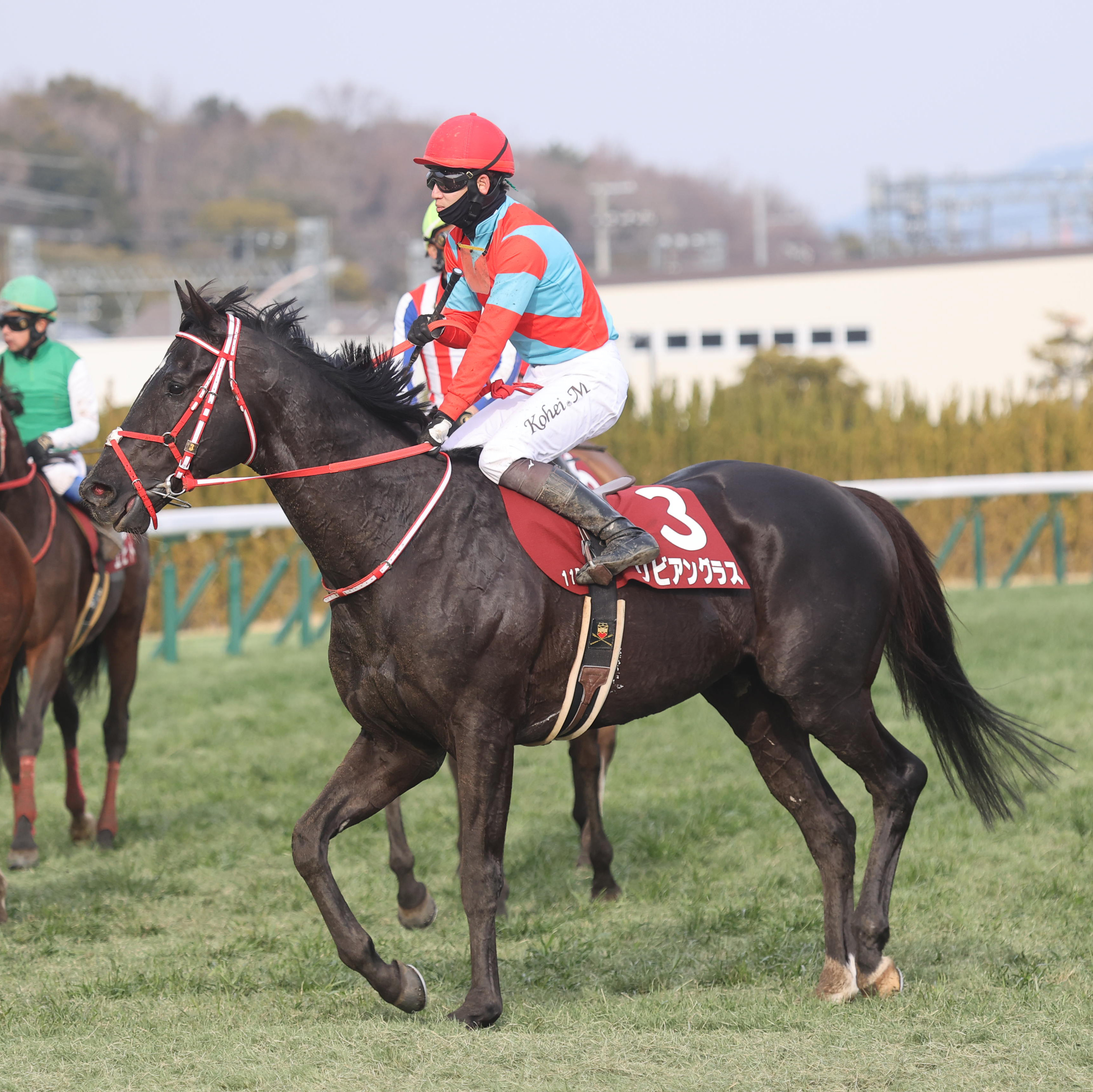 八朔合馬 セレクトセール2025・2日目】藤田晋オーナーが新種牡馬イク