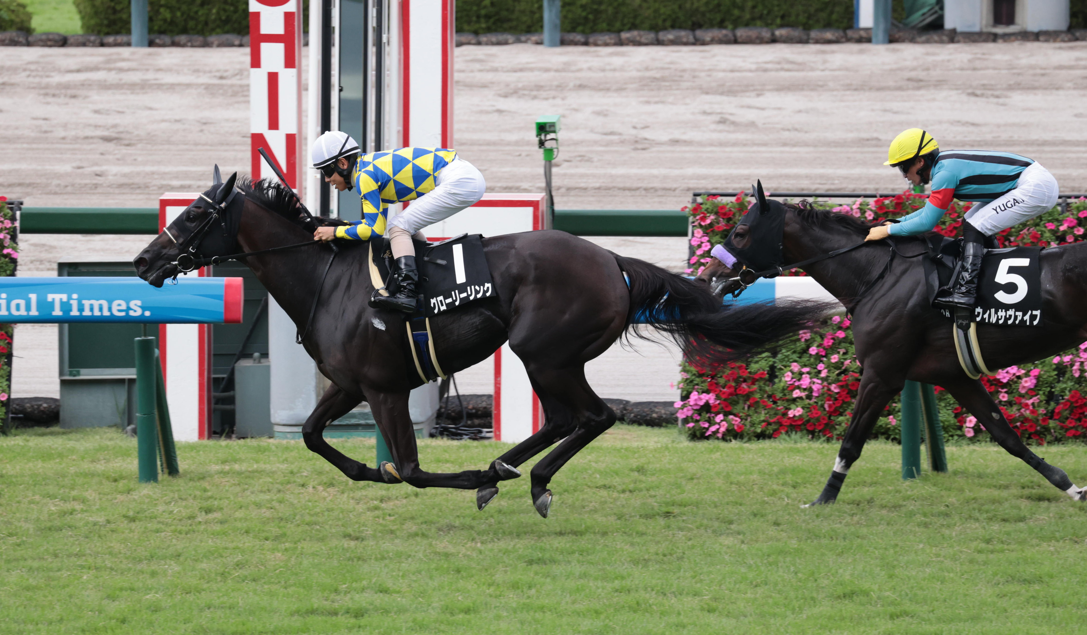 ロゲツ　スーラボ10周年記念モデル 10月25日(土)・26(日)開催「全日本ロードレース最終戦 MFJ