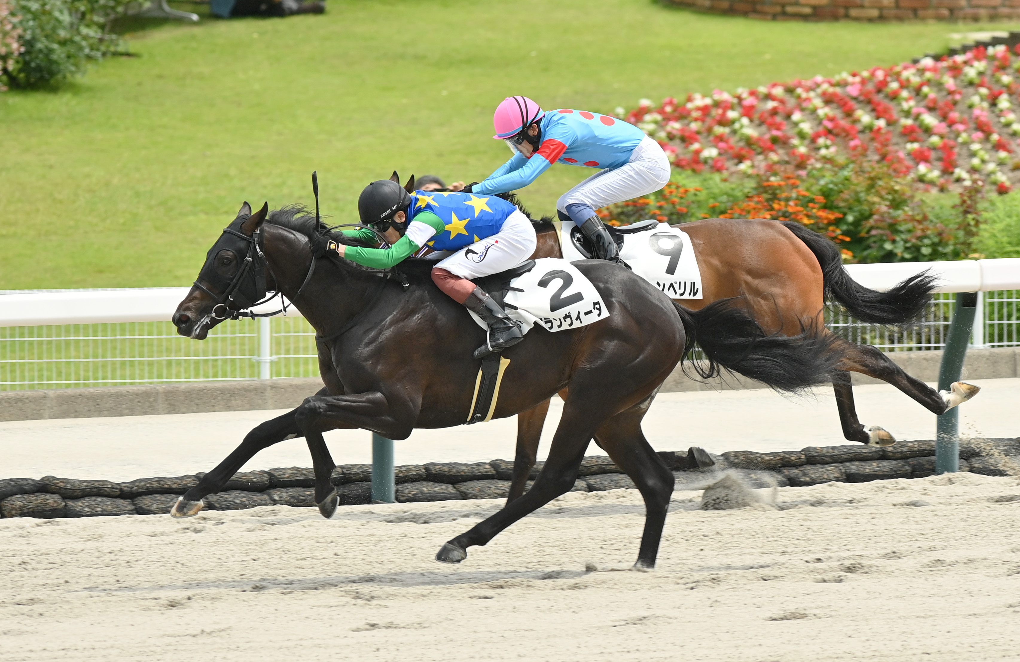 2歳新馬・福島6R】シャンハイボビー産駒のエランヴィータが差し切り
