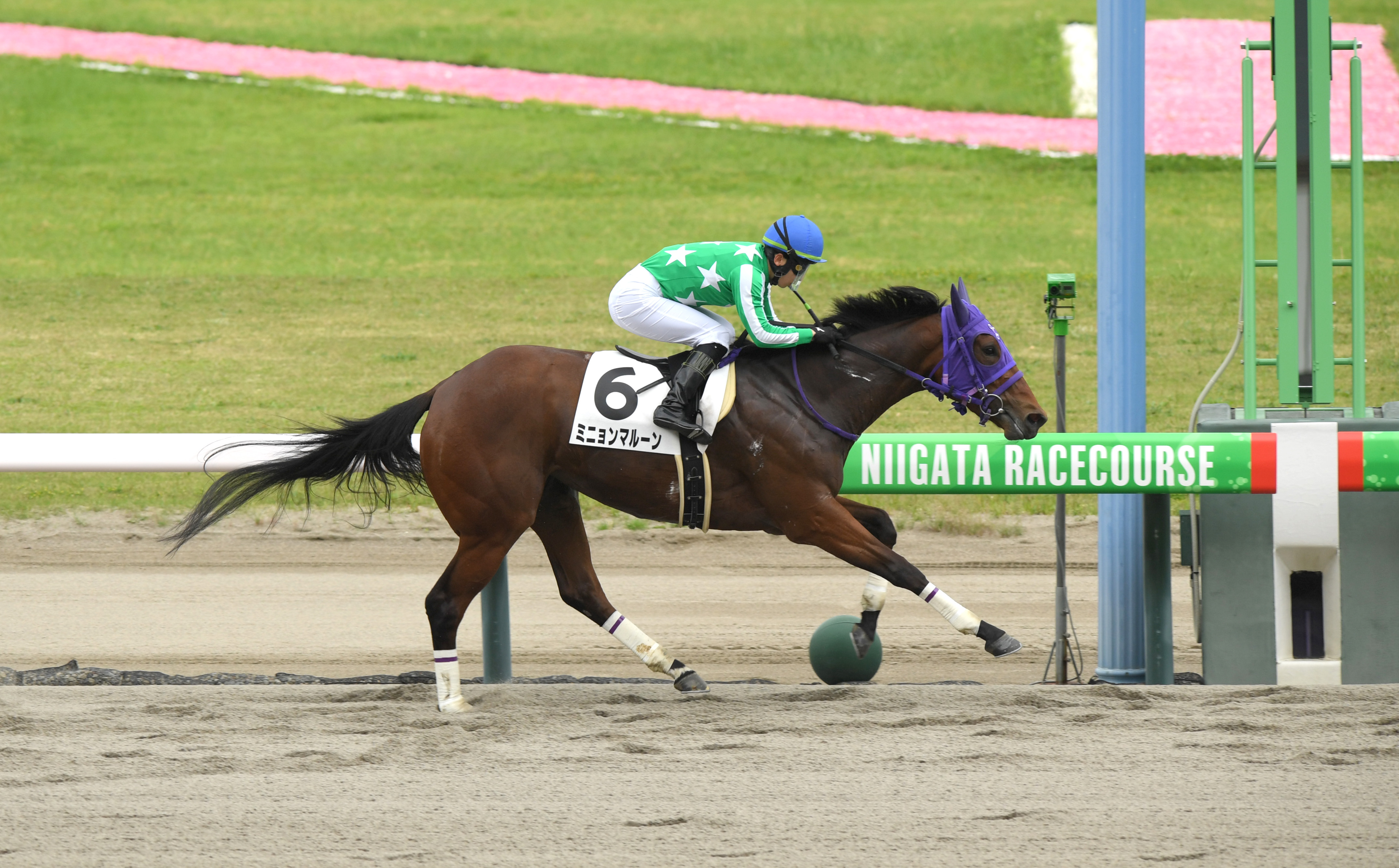 ヒロシのDeepな話】今の3歳馬に斤量のアドバンテージは必要なのか