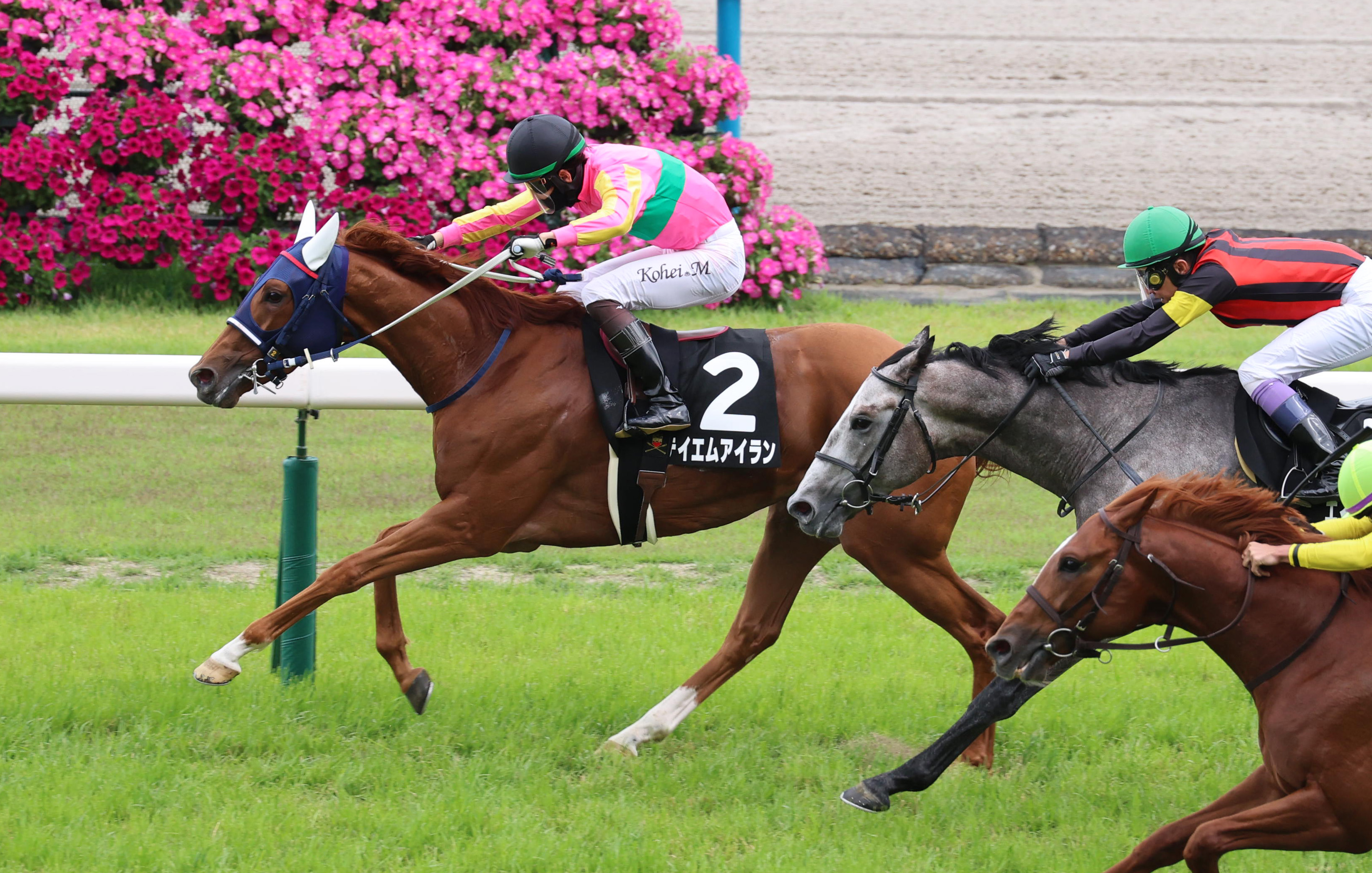 メルボルンT】8番人気テイエムアイランが逃げ切り2勝目！ 松山弘平騎手
