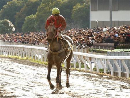 平成の真実（１４）】平成１６年３月２２日、ハルウララ１０６連敗（1 