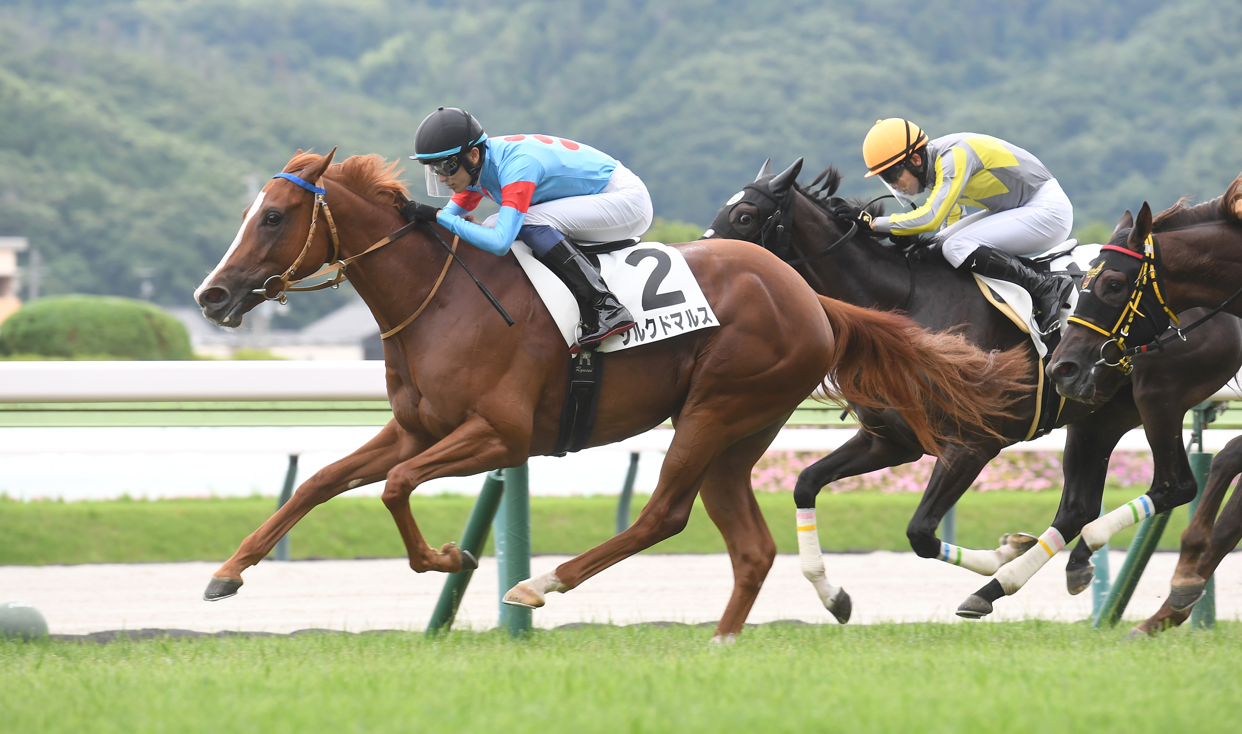 2歳新馬・福島5R】アドマイヤマーズ産駒のシルクドマルスが人気に
