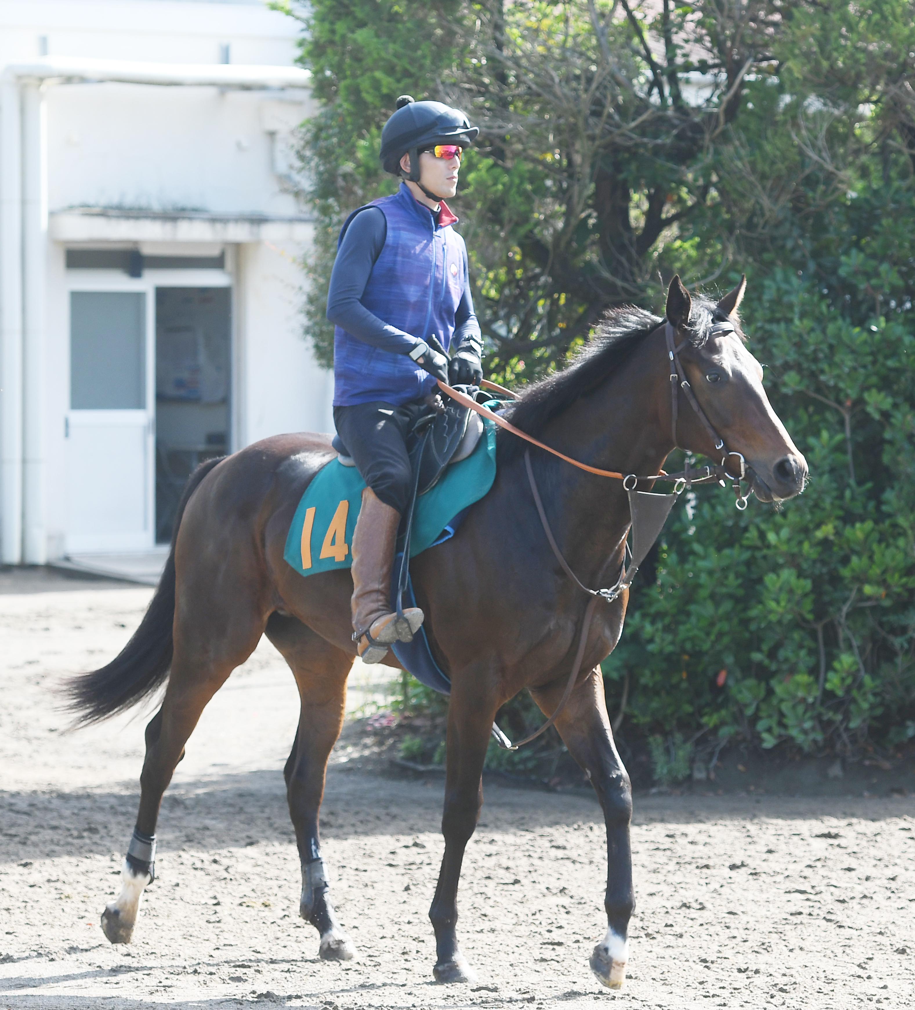 今週の注目新馬】コントレイル産駒で初出走のユマハム 陣営
