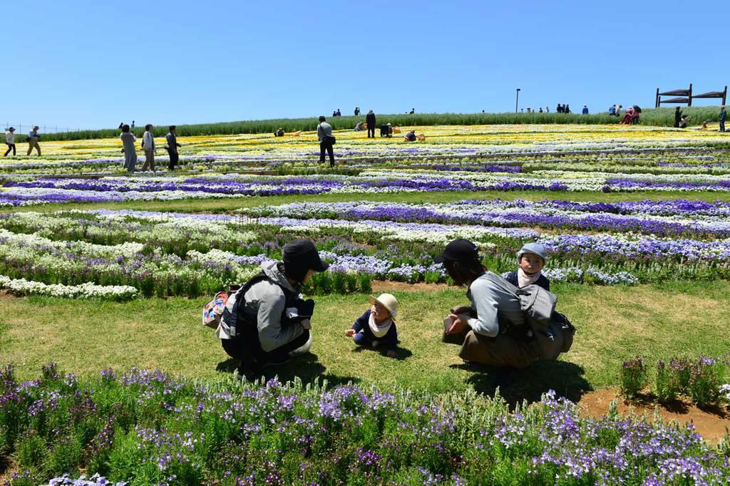 信州花フェスタ19 色鮮やかな 花の競演 を満喫 Pr Pr 産経ニュース