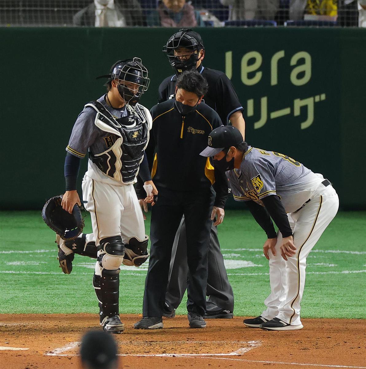 阪神 梅野が途中交代 左膝にファウルチップ サンスポ