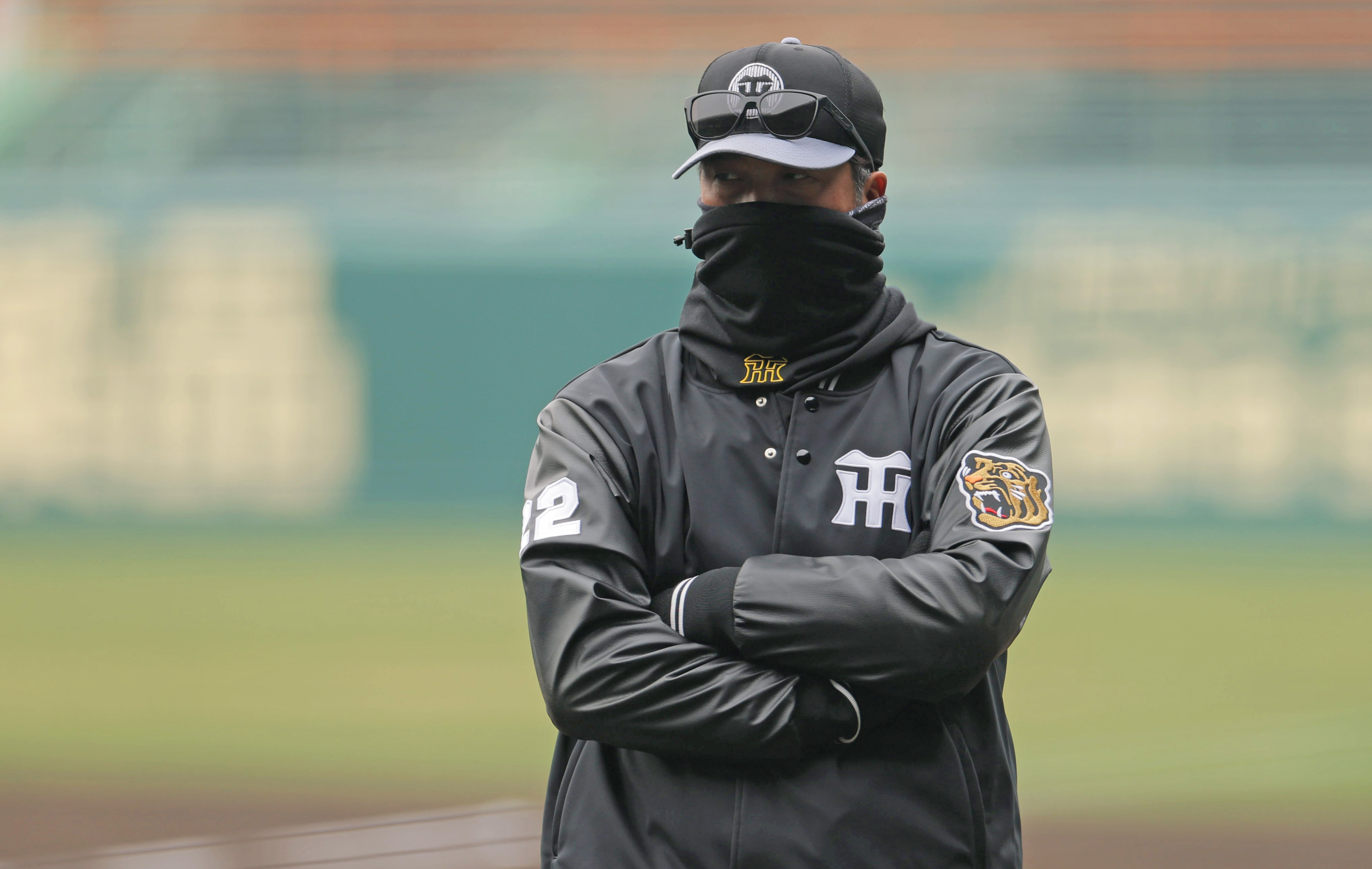 ドリームオーダー 猛虎の雄姿 阪神タイガース 藤川球児 LG M1