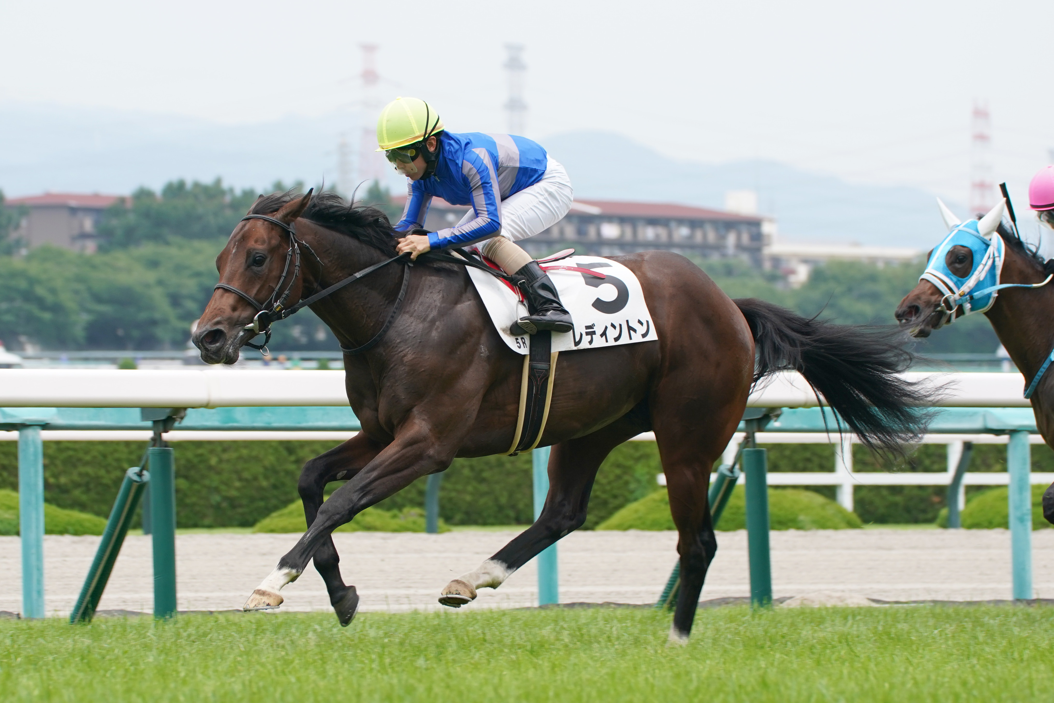 【２歳次走報】レディントンは戸崎圭太騎手との新コンビで ...