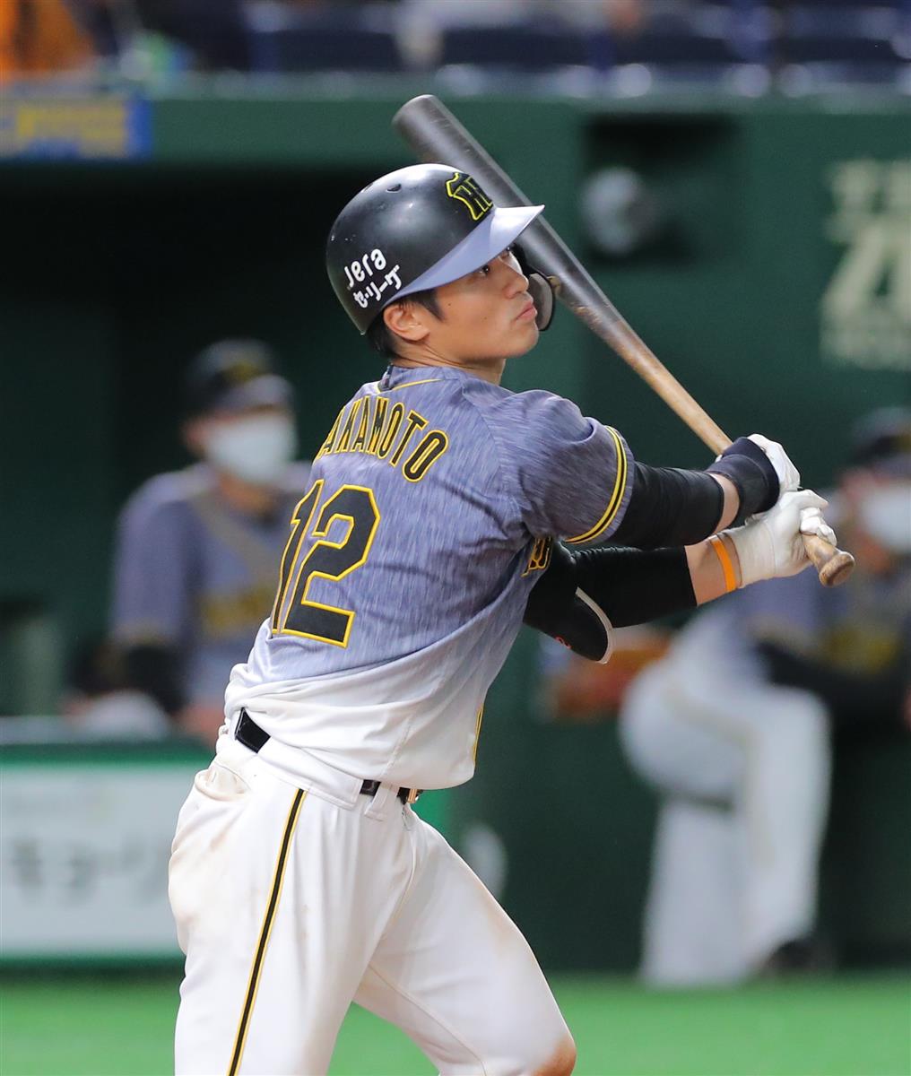 超希少】阪神タイガース坂本誠志郎選手実使用サイン入りバット お値下げ可能です - メルカリ