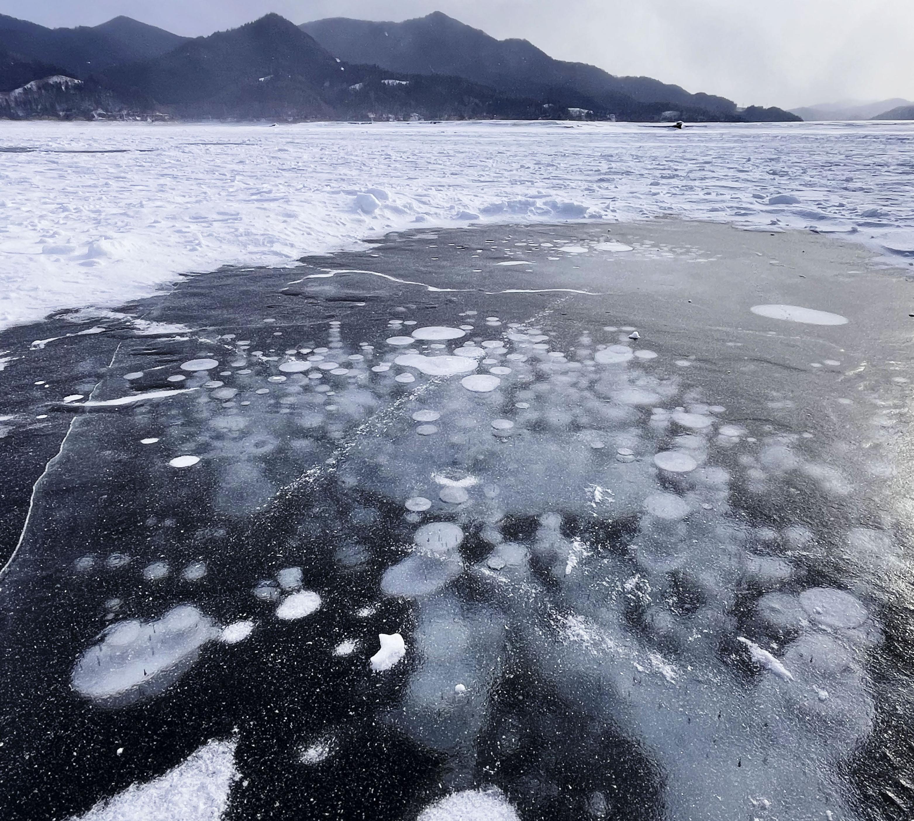 凍る湖に閉じ込められた神秘の気泡 「アイスバブル」が見頃 北海道
