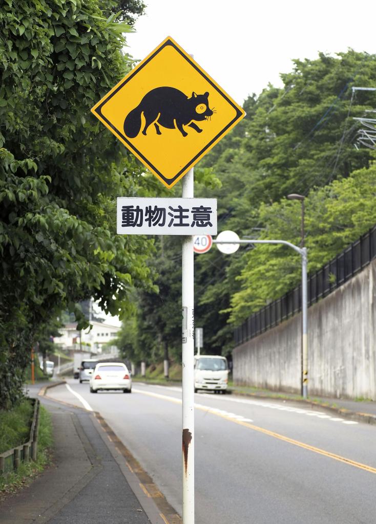 東京舞台さんぽ ジブリ映画 平成狸合戦ぽんぽこ の 舞台 作品ゆかりの場所を探す 多摩ニュータウン 1 2ページ Zakzak 夕刊フジ公式サイト