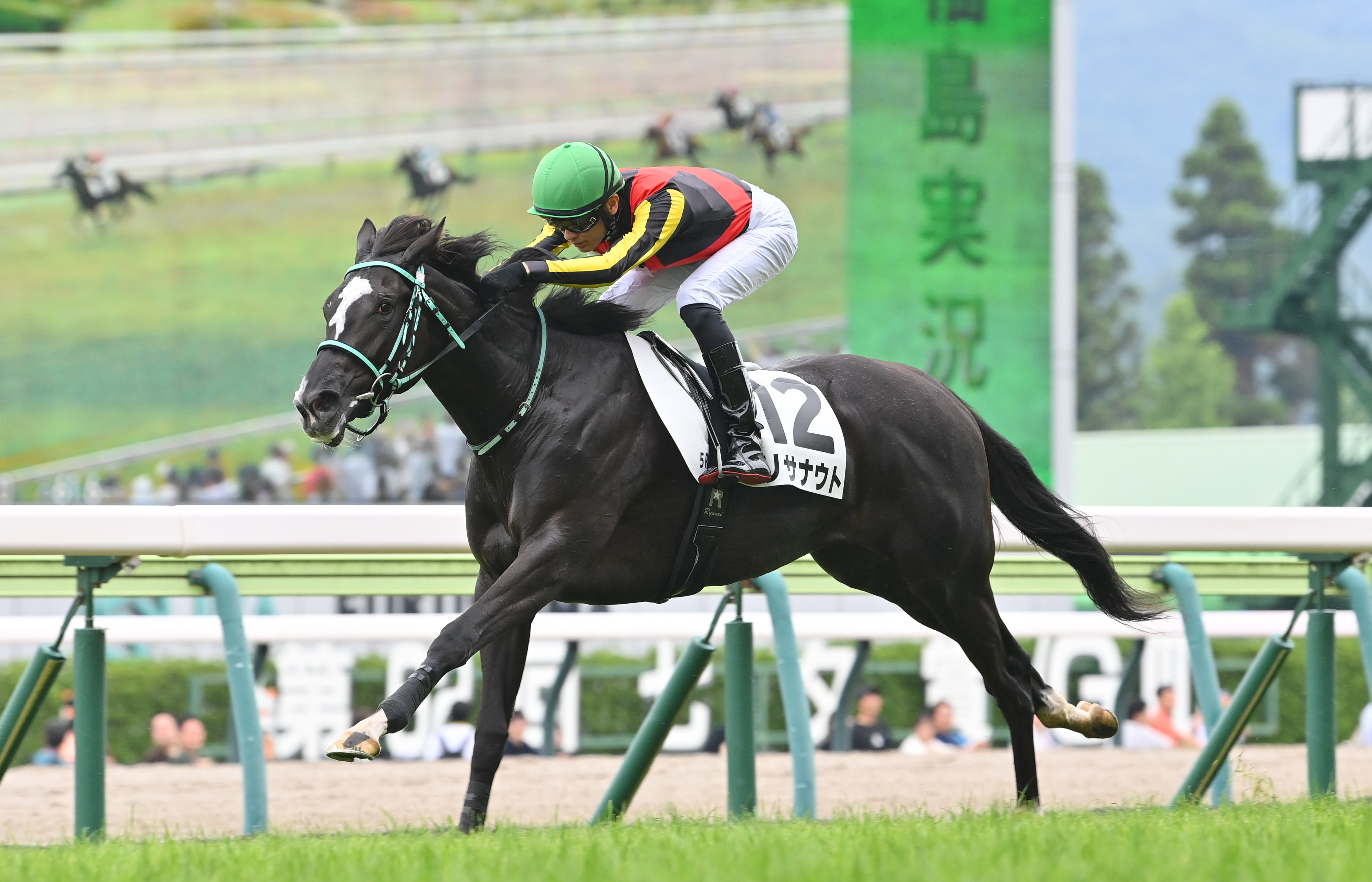 若駒ピカイチ】リサナウトは祖母にエアグルーヴ 坂井騎手「すごく素直