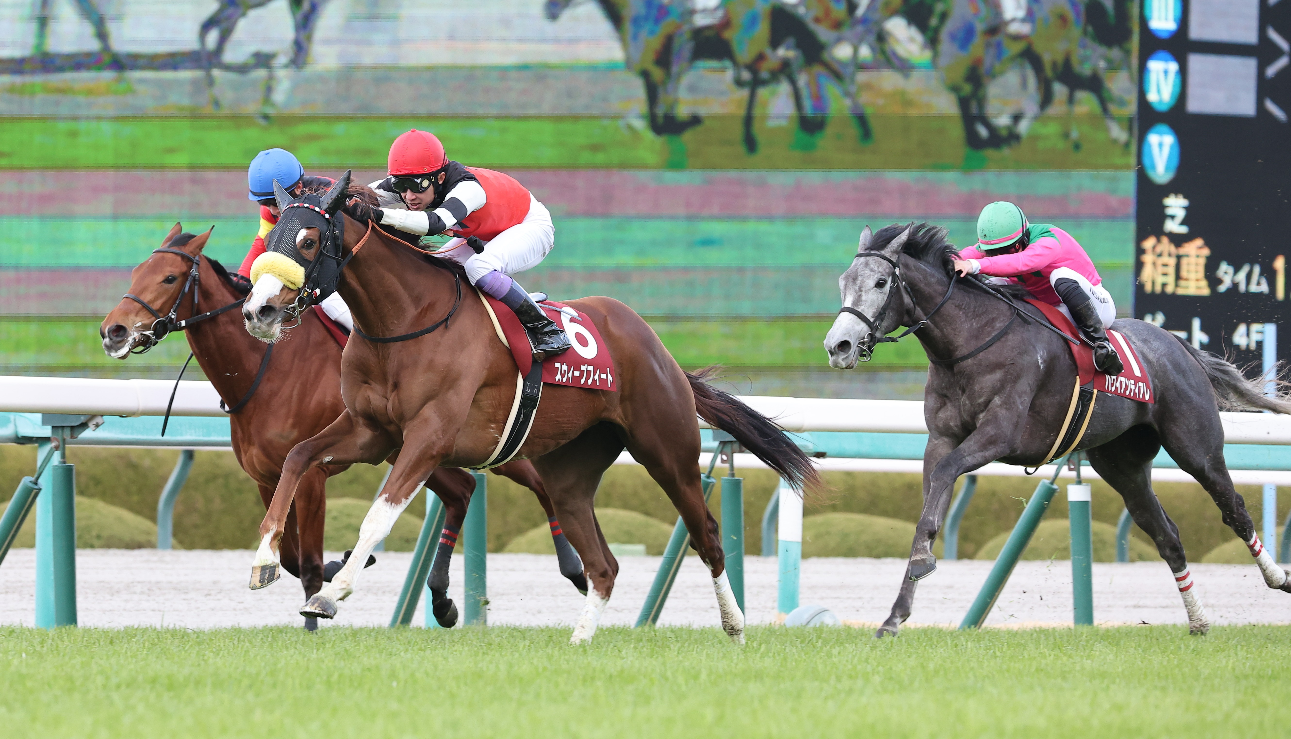 チューリップ賞】スウィープフィートが大外一気で桜花賞の切符ゲット