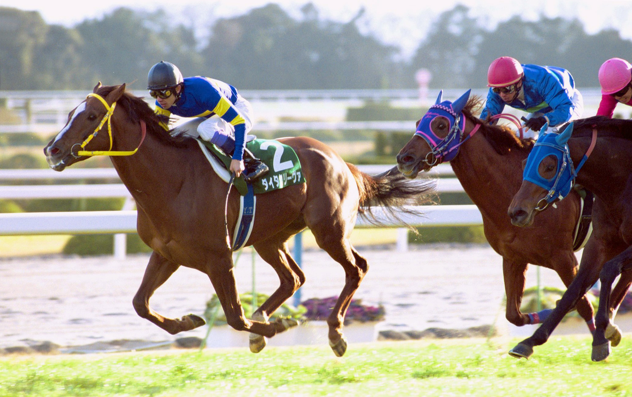 サンスポ紙面と写真で振り返る「午年の金杯 2002年」（ビッグゴールド