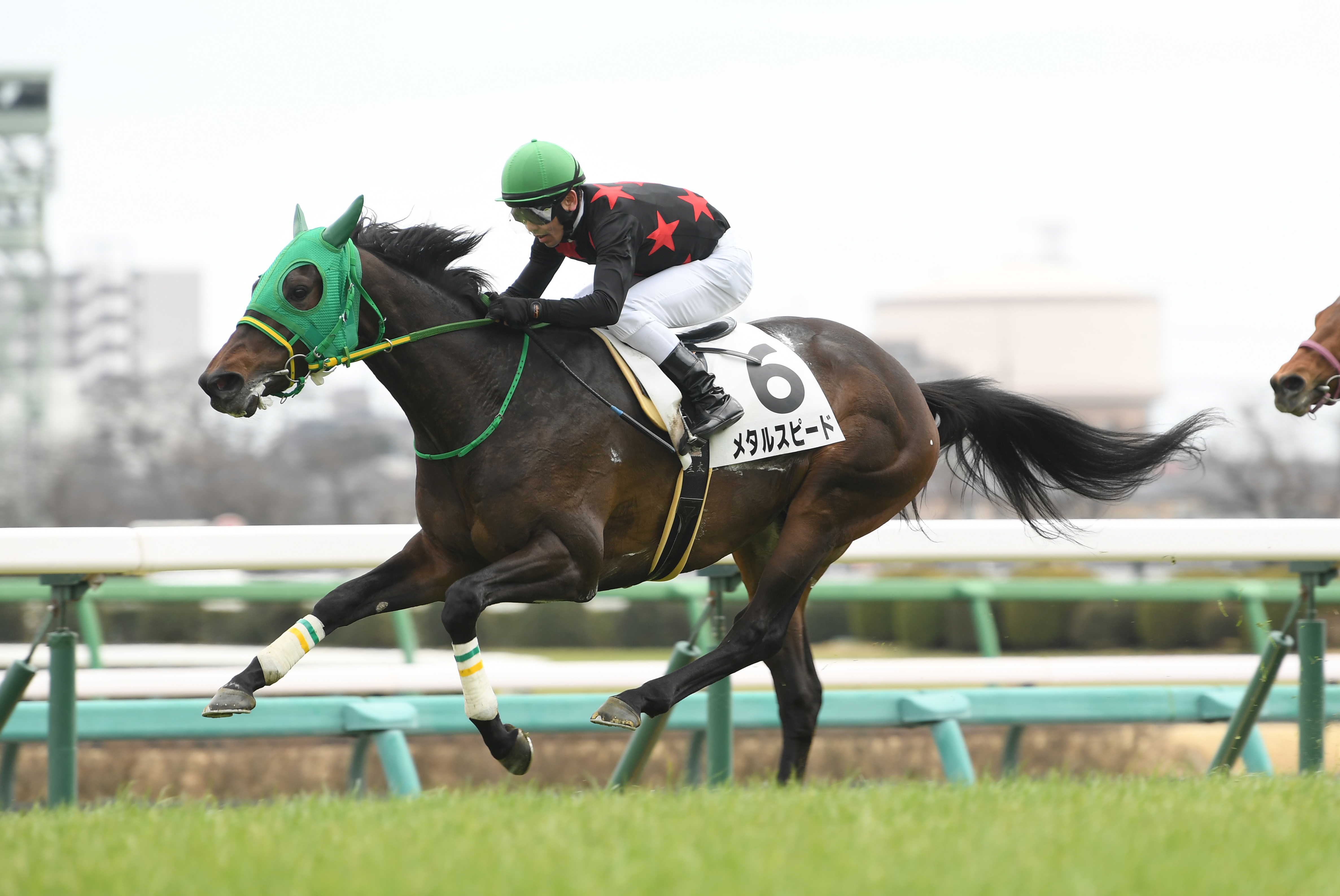 東西記者 今週の狙い馬】メタルスピード 冬の中山芝はロベルトの血に