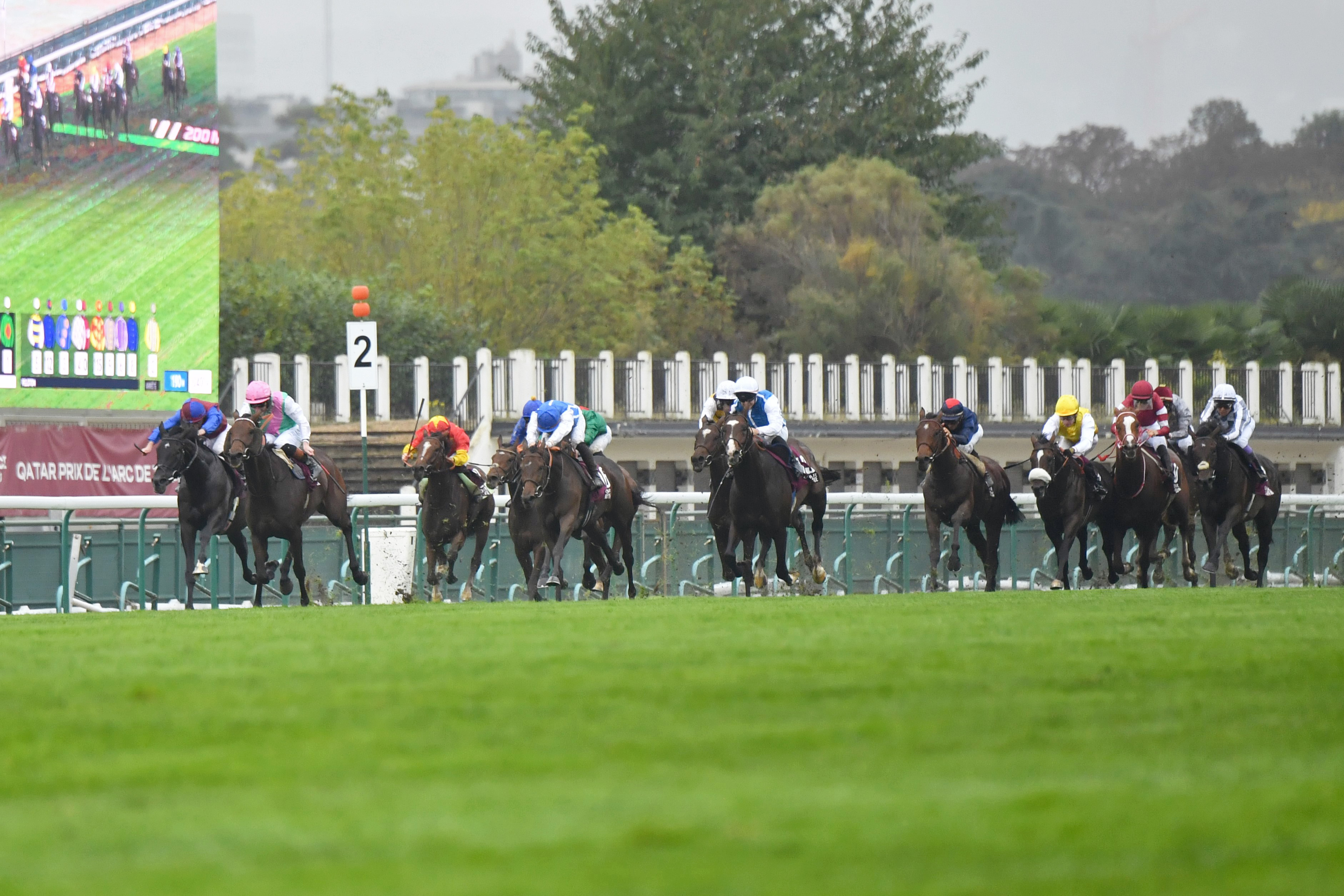 増えてきた日本馬の海外挑戦、ジャパンC振興策、海外馬券発売10