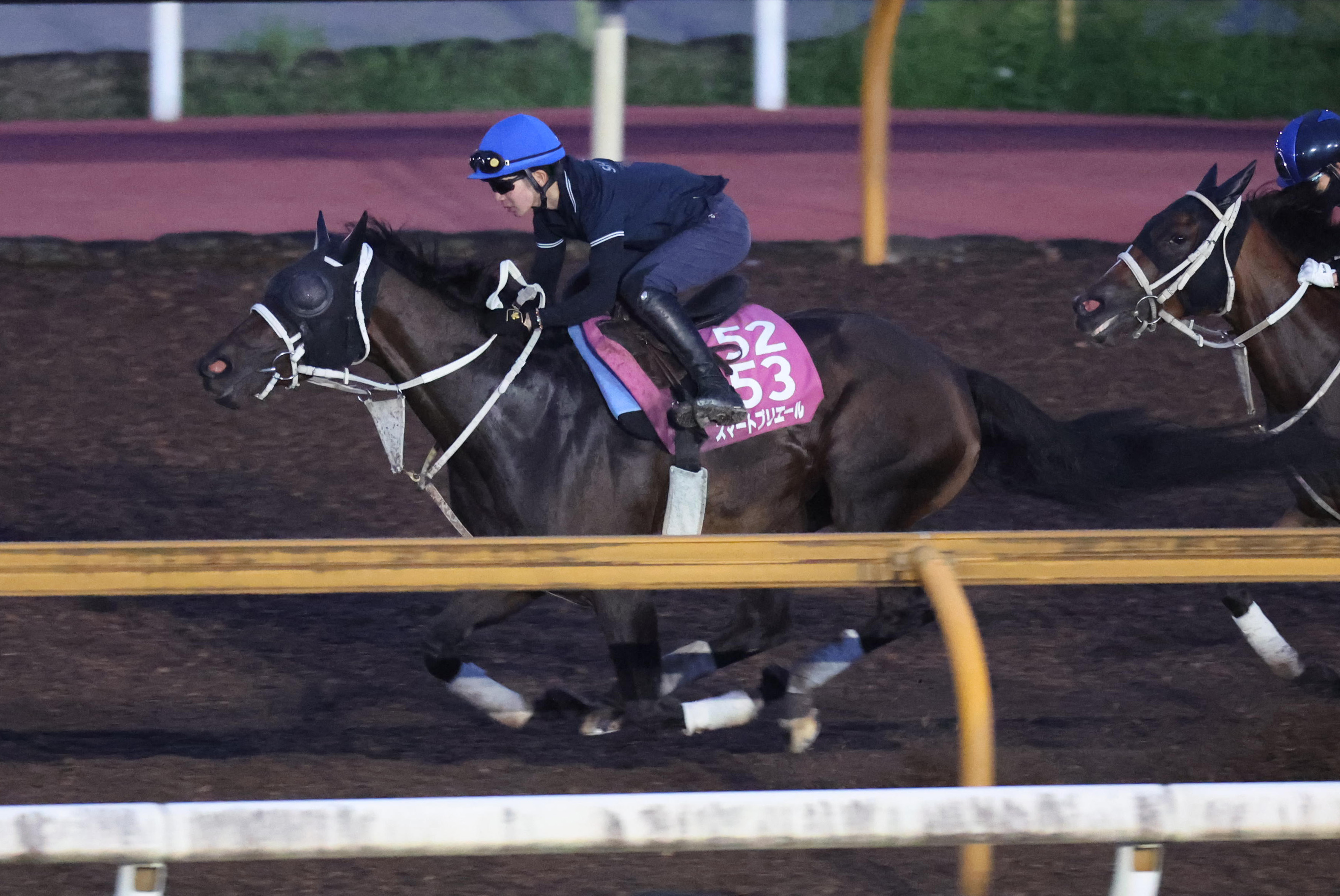 ローズS 1週前追い切り】スマートプリエールは田山騎手を背に併せ馬