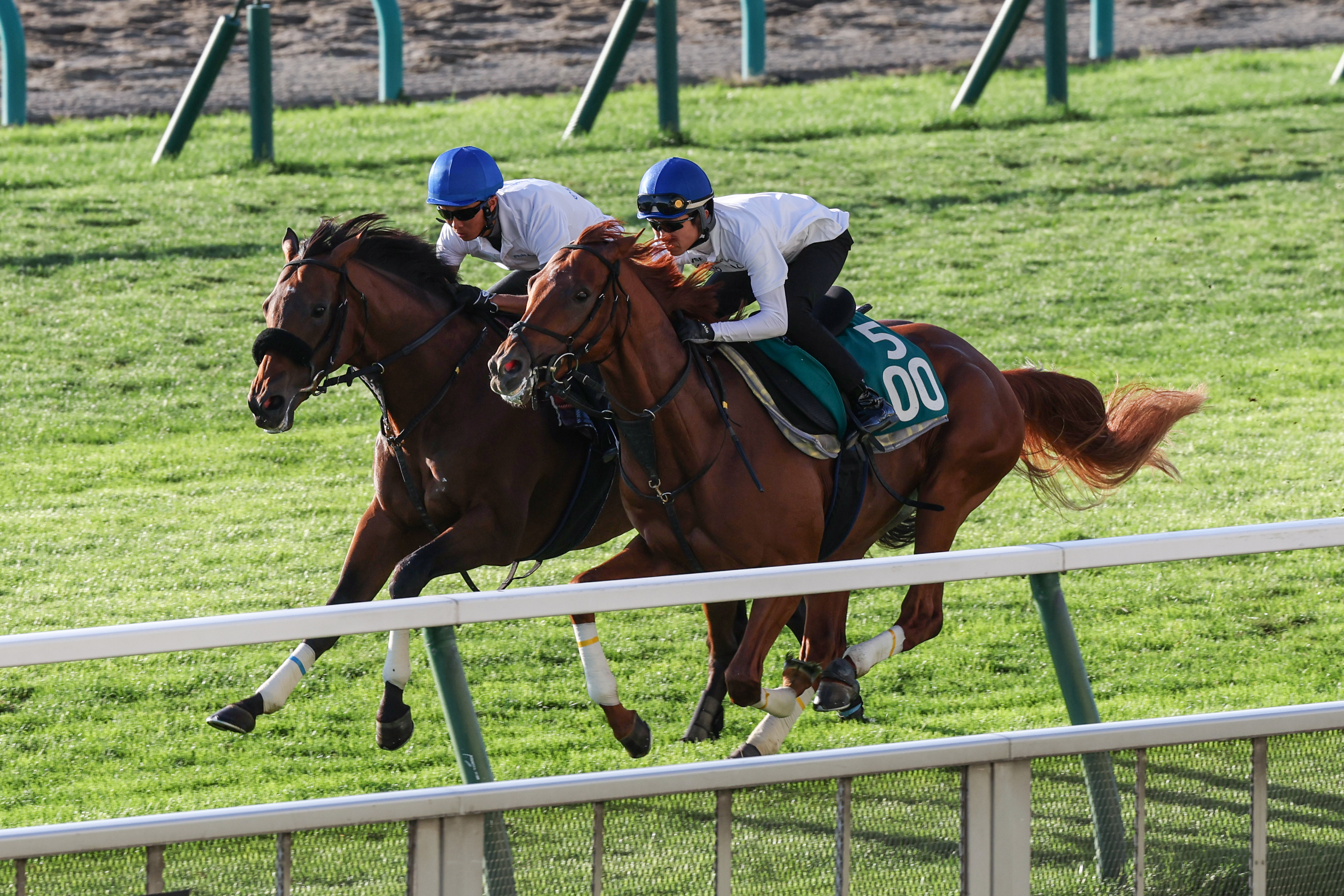 当選品】札幌競馬場 札幌2歳ステークス レプリカゼッケン ガイア