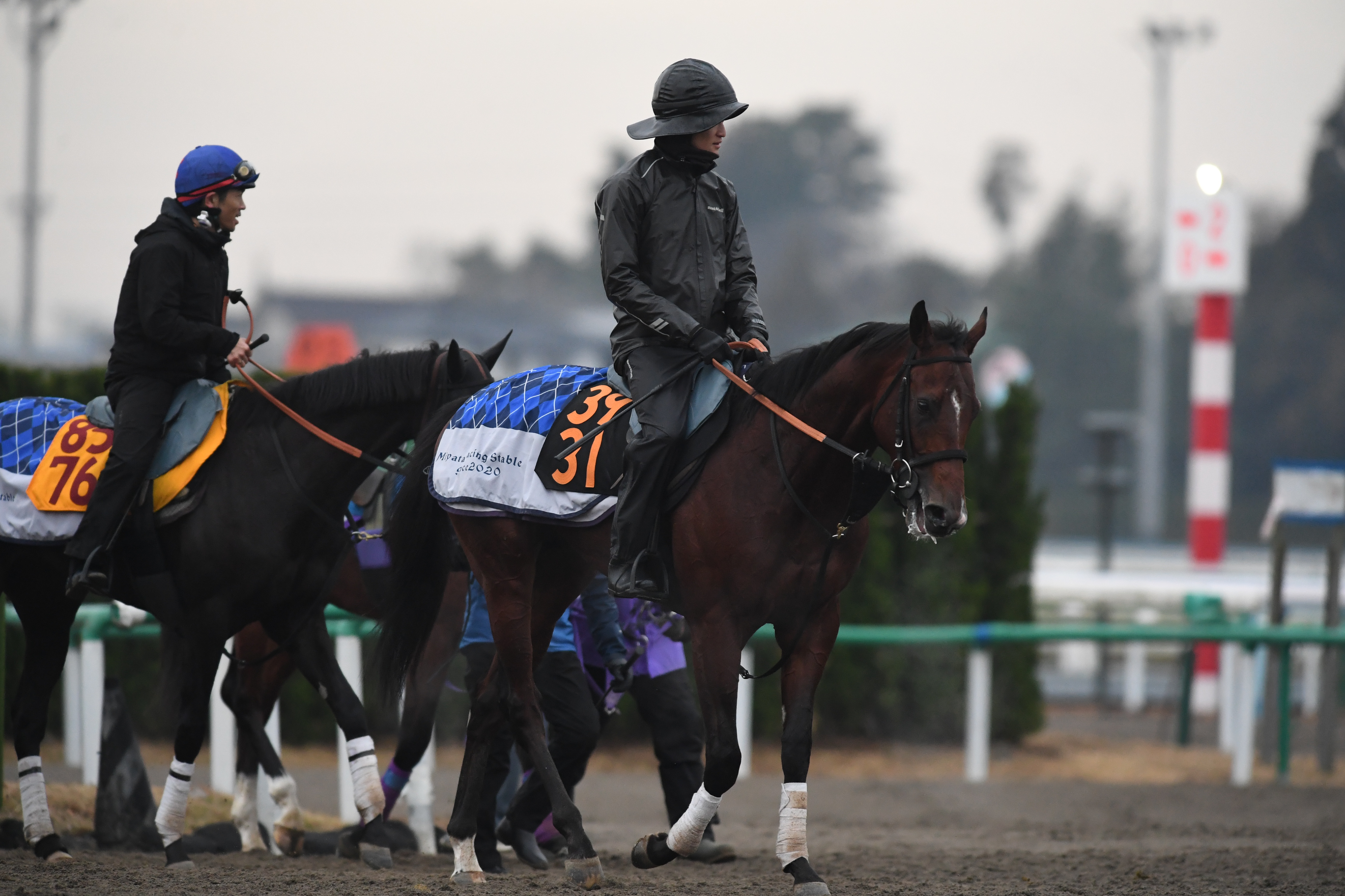 今週の注目新馬】年長馬に1馬身半先着サトノクラシカル 宮田師「初戦