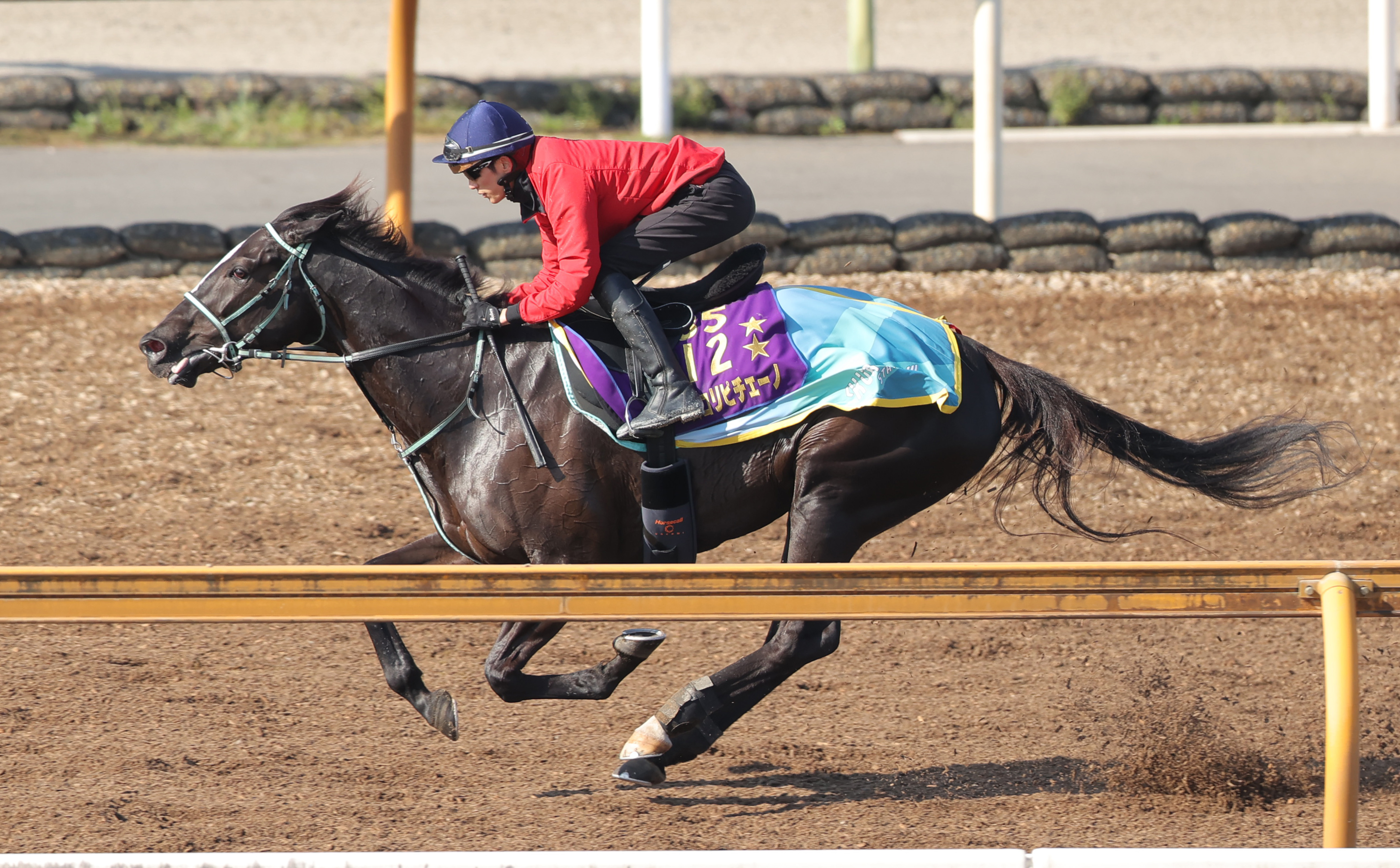 サンスポ杯阪神牝馬S 追い切り】アスコリピチェーノ復権へ『S』評価