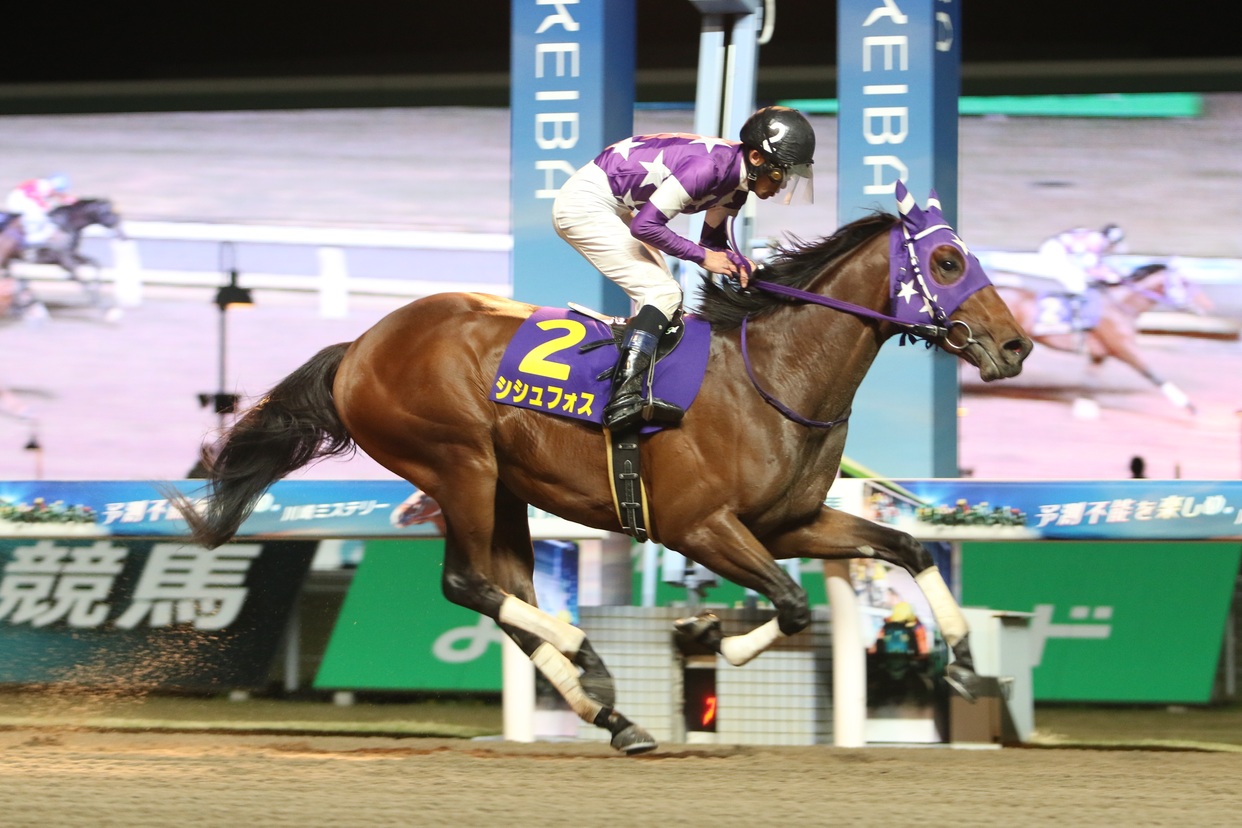 東京湾Ｃ】いざ東京ダービーへ！ シシュフォスが重賞連勝を決める ...