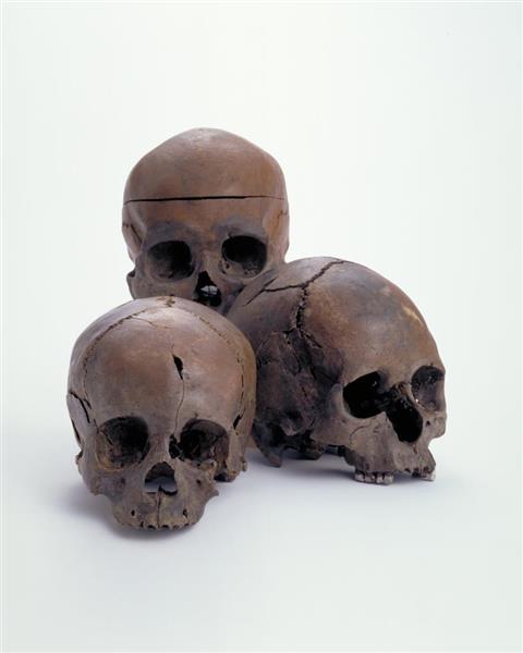弥生時代に謎の大量殺戮？ 大量の人骨をDNA分析、弥生人のルーツ