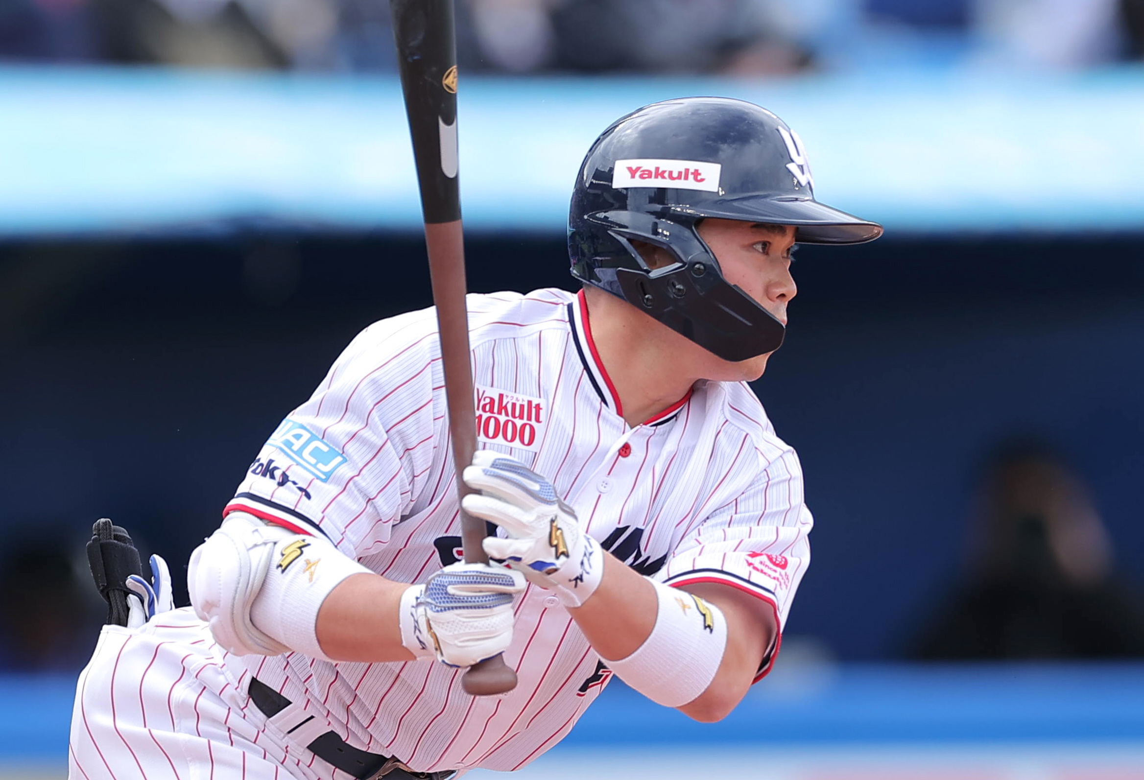 東京ヤクルトスワローズ 丸山和郁 選手 実使用 バット 支給品 野球 NPB 東京ヤクルトスワローズ 丸山和郁 選手 実使用 バット 支給品