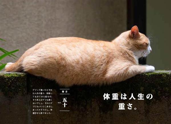 関西の議論 ニャンと読むだけでやせる 人のデブ見て我がデブ直せ デブ猫格言５７連発 写真集 最強のダイエット本 1 2ページ 産経ニュース