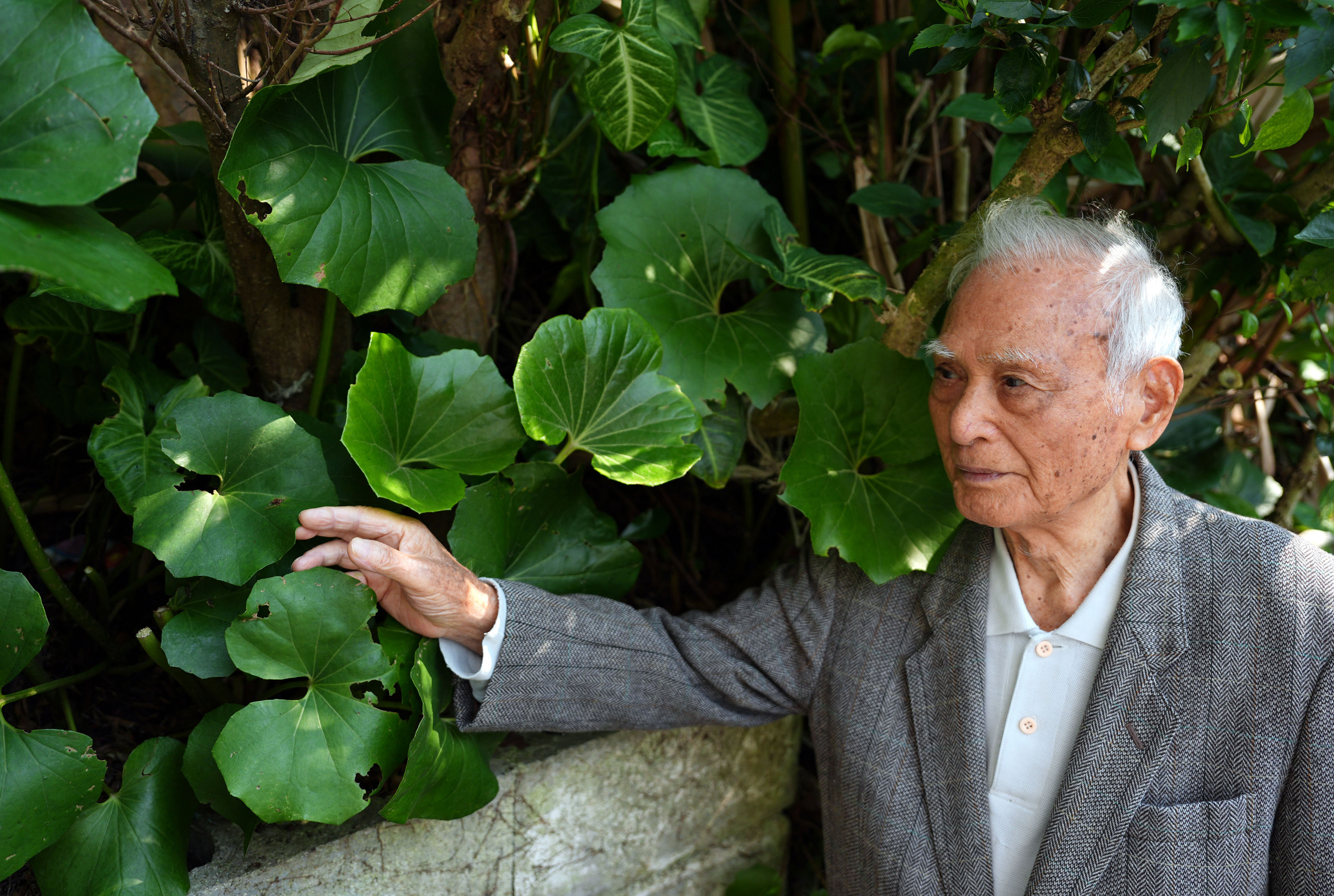 透明な背景に分離された弾丸イラスト素材透過、PNGフリー画像ダウンロード - Pngtree, image size:4000x2686