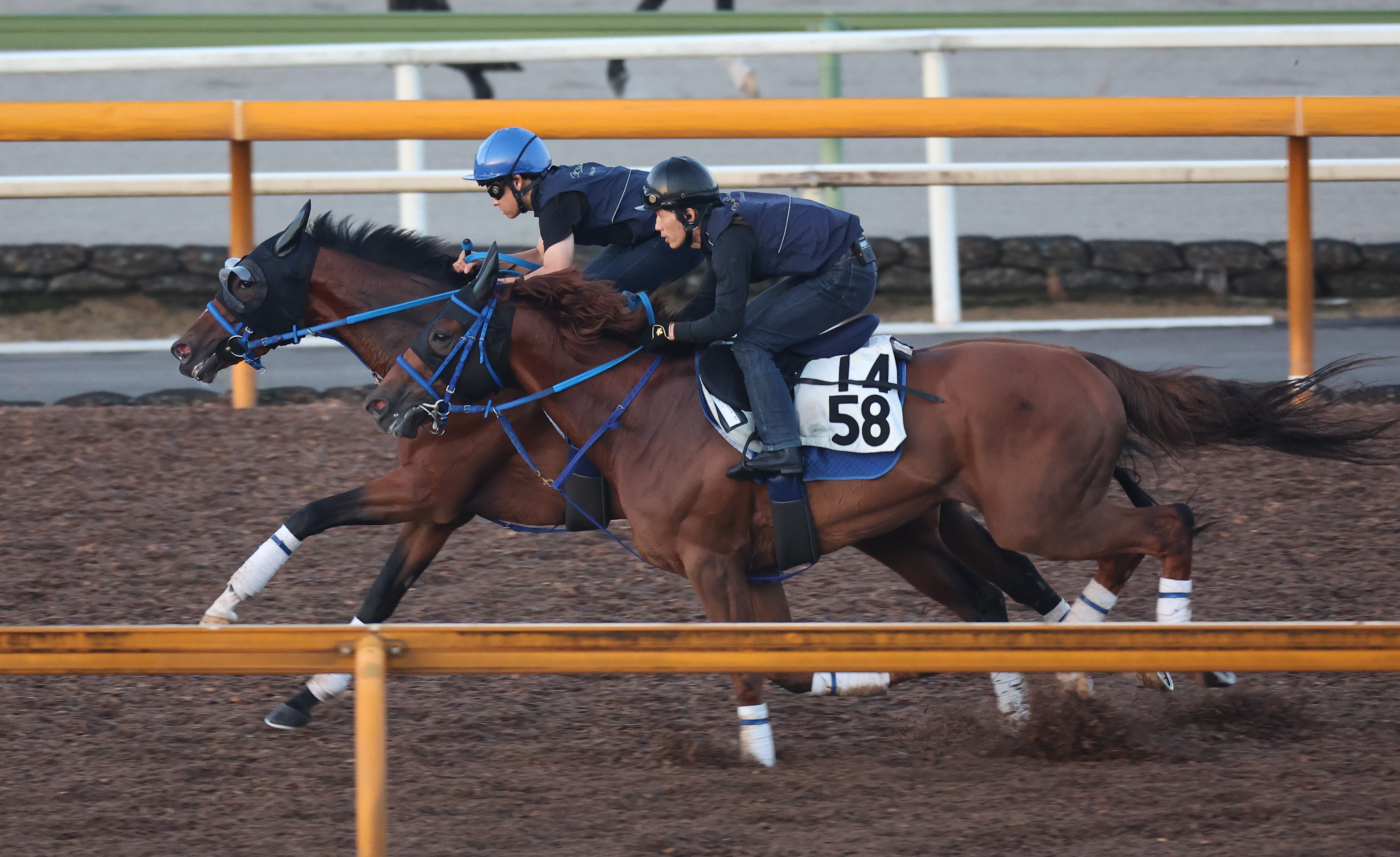 【ローズＳ】アンリーロード上々の手応えで半馬身先着１１秒５