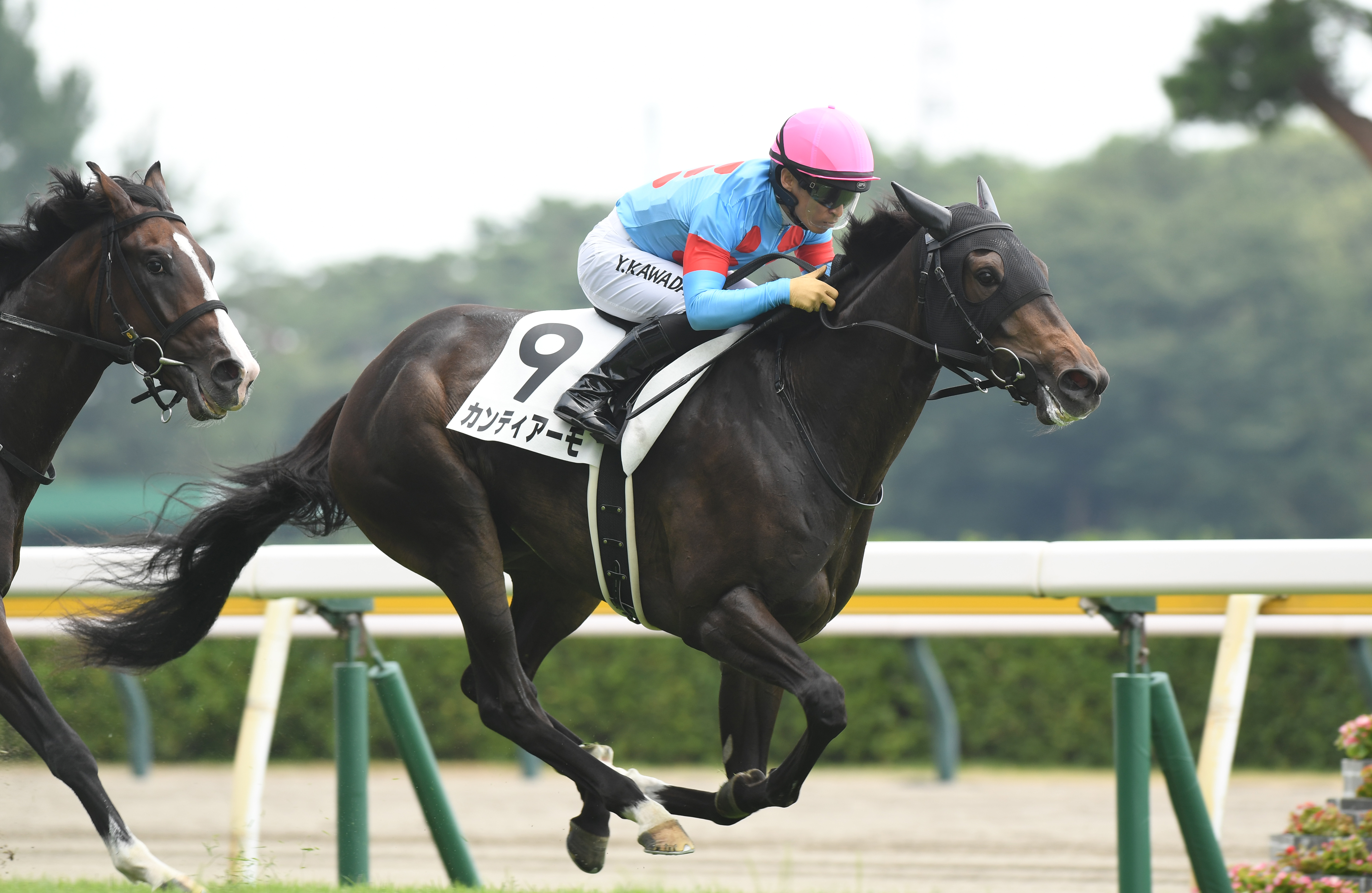 フラワーCの注目点】好調エピファネイア産駒Vか！春クラシックへ3歳
